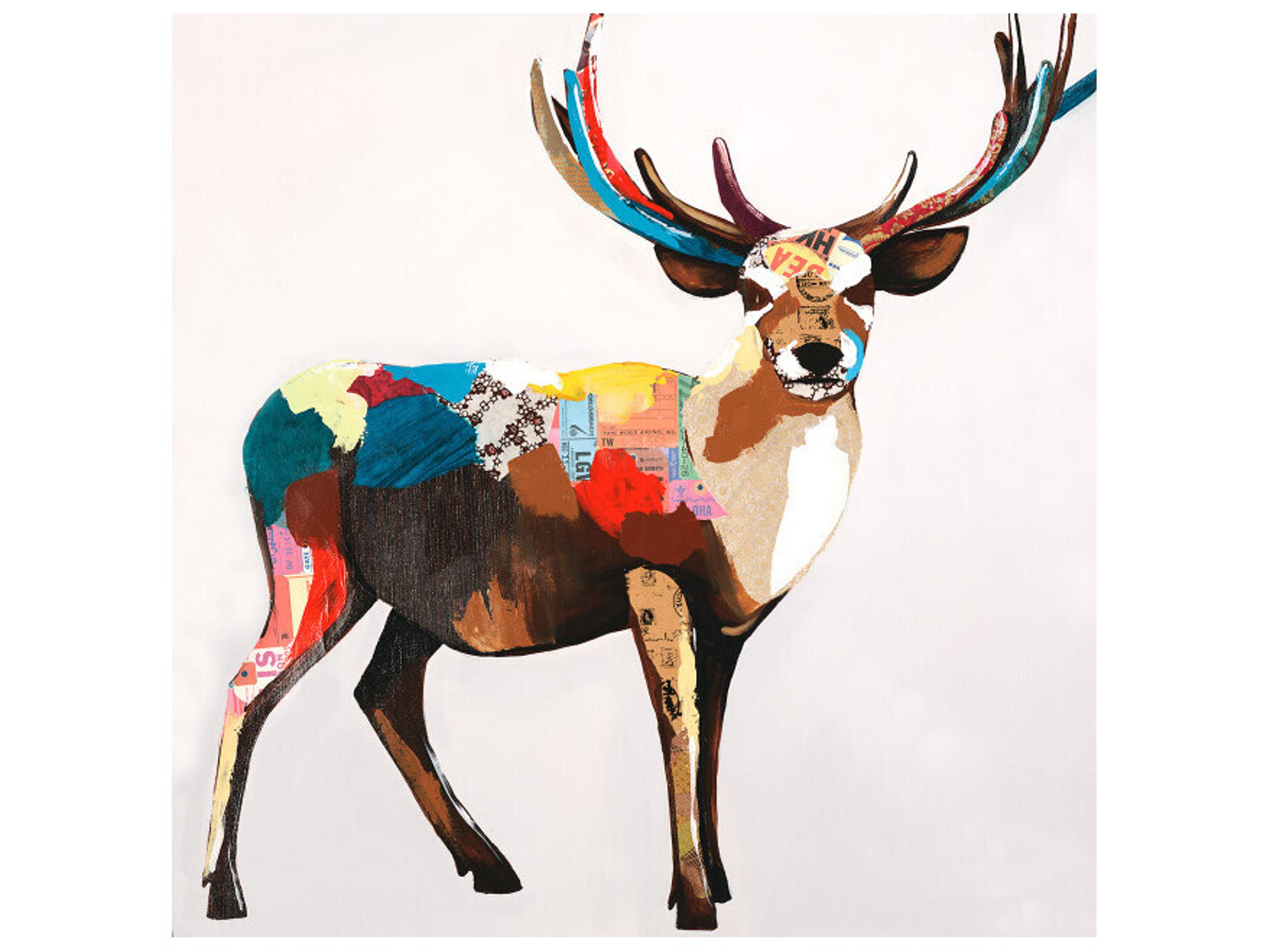 Blanket Beauty II Wall Art