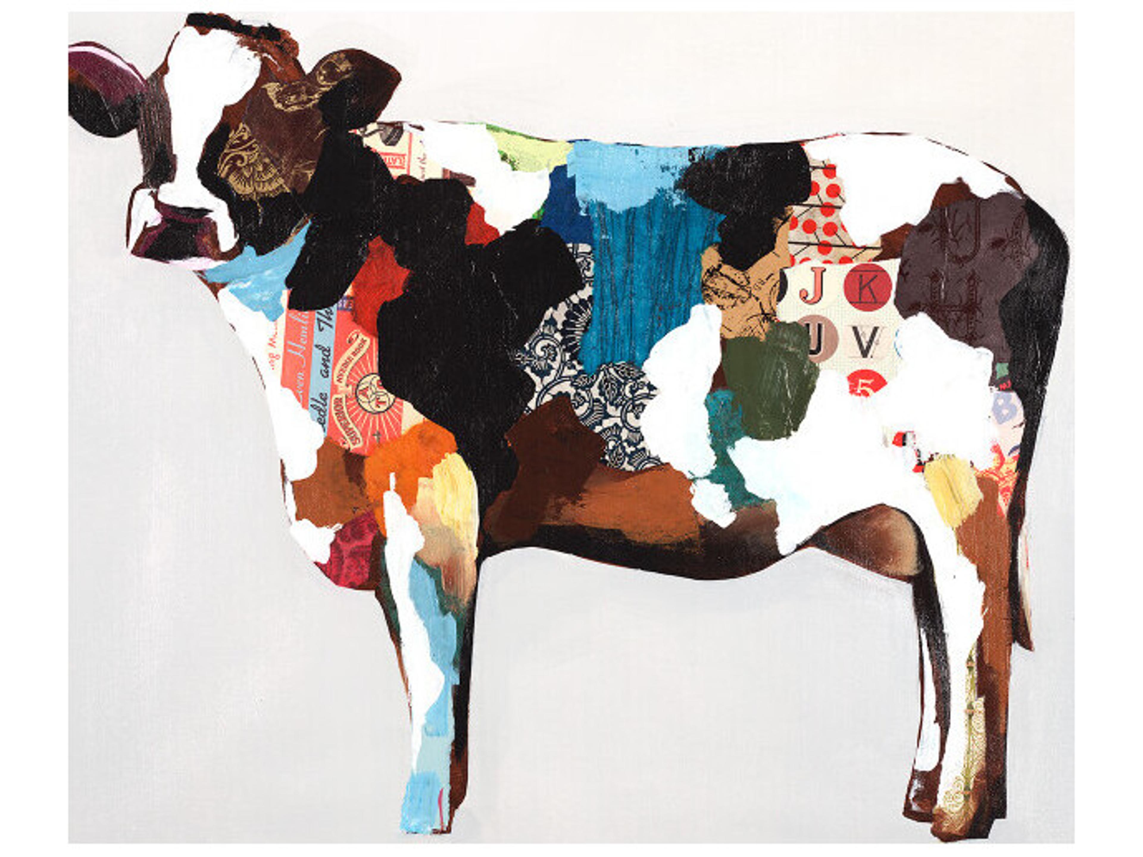 Blanket Beauty III Wall Art