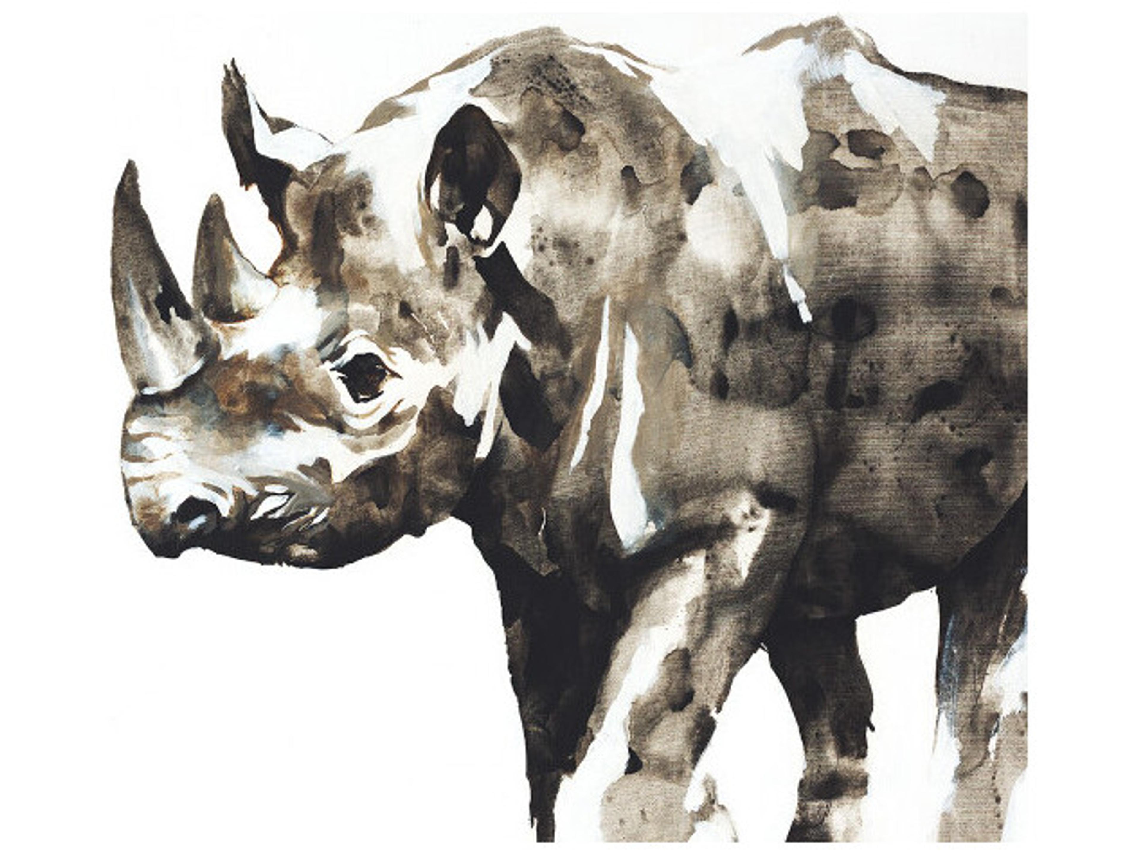 Daleno Fan Favorites I Wall Art