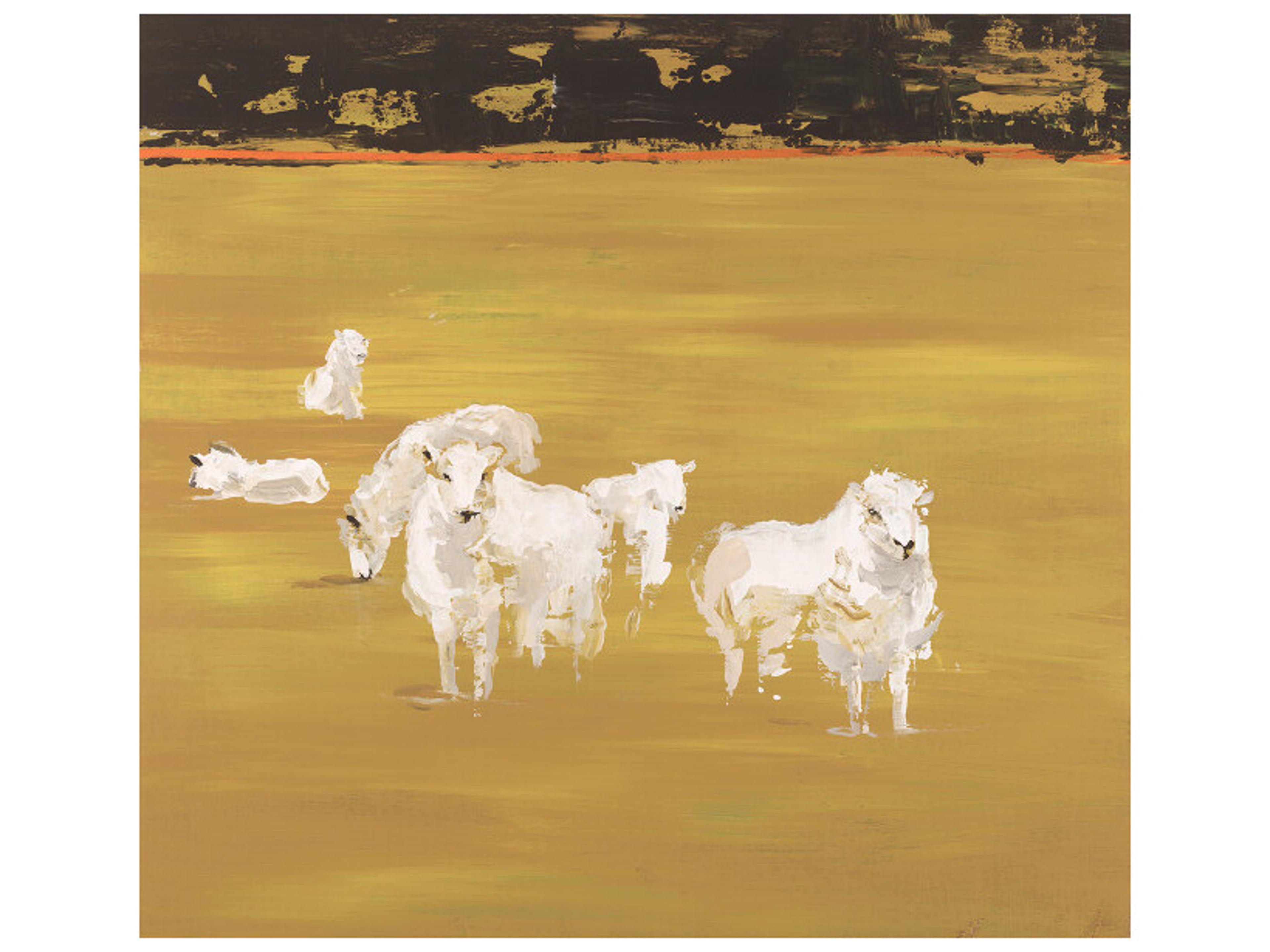 New Zealand Novelty Wall Art