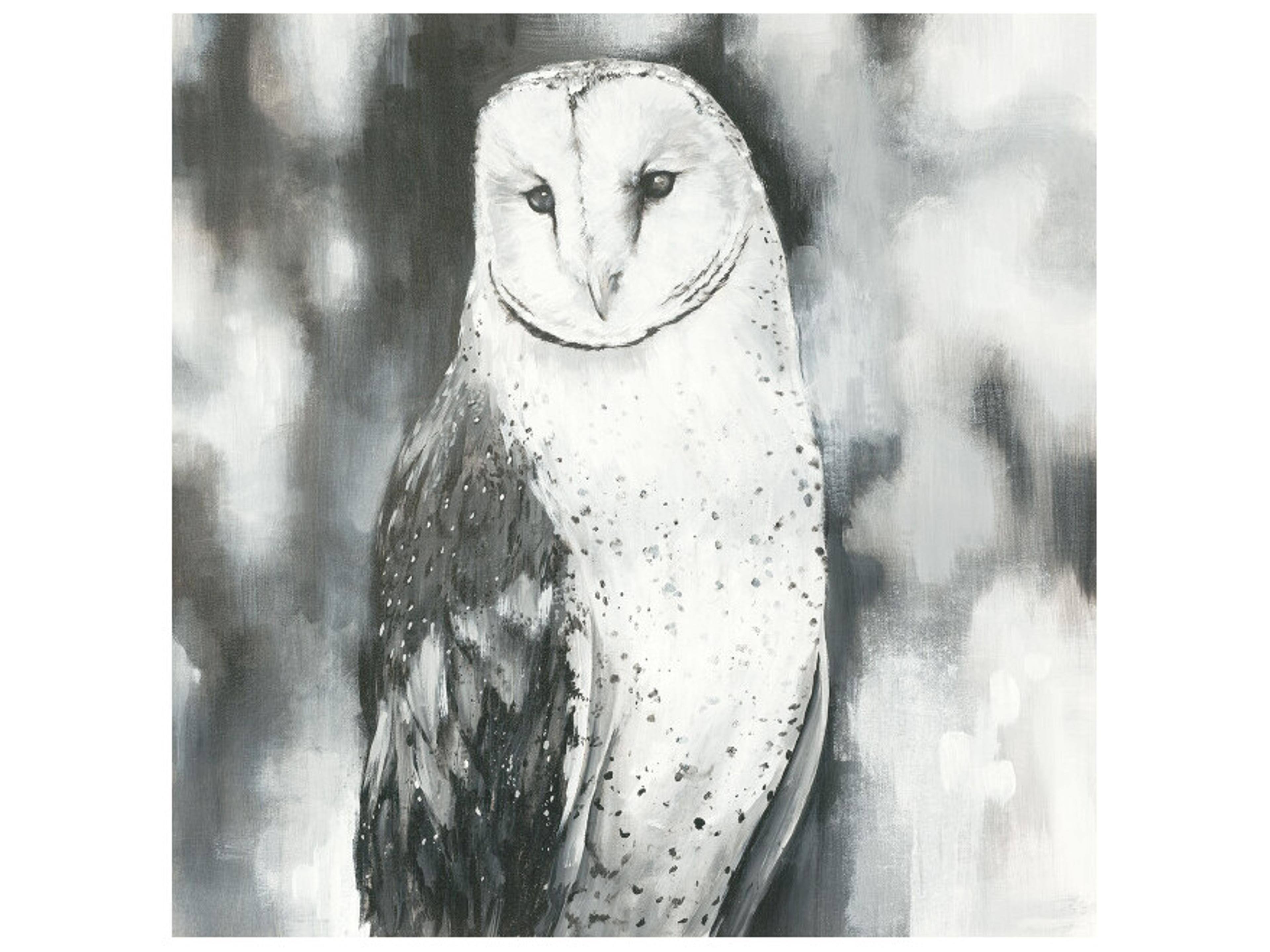 Daleno Night Talker Wall Art