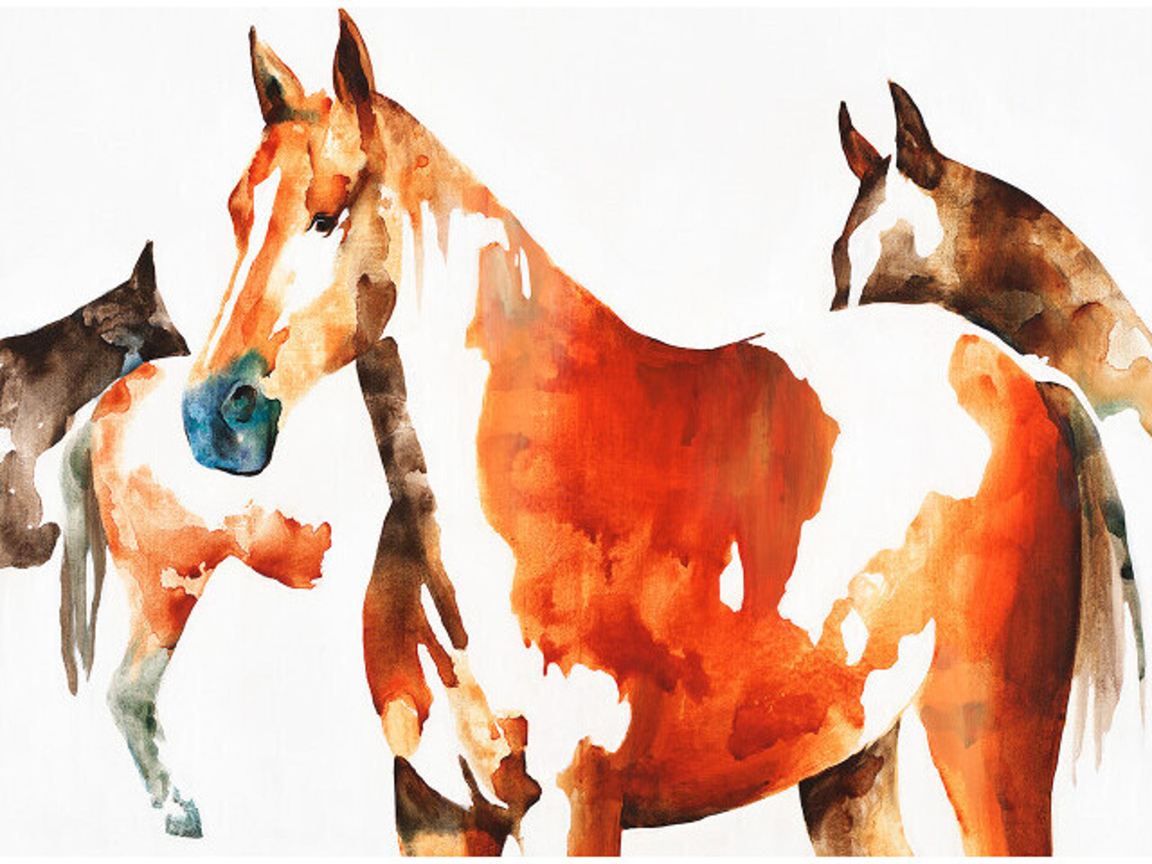 Daleno County Fair Winner Wall Art