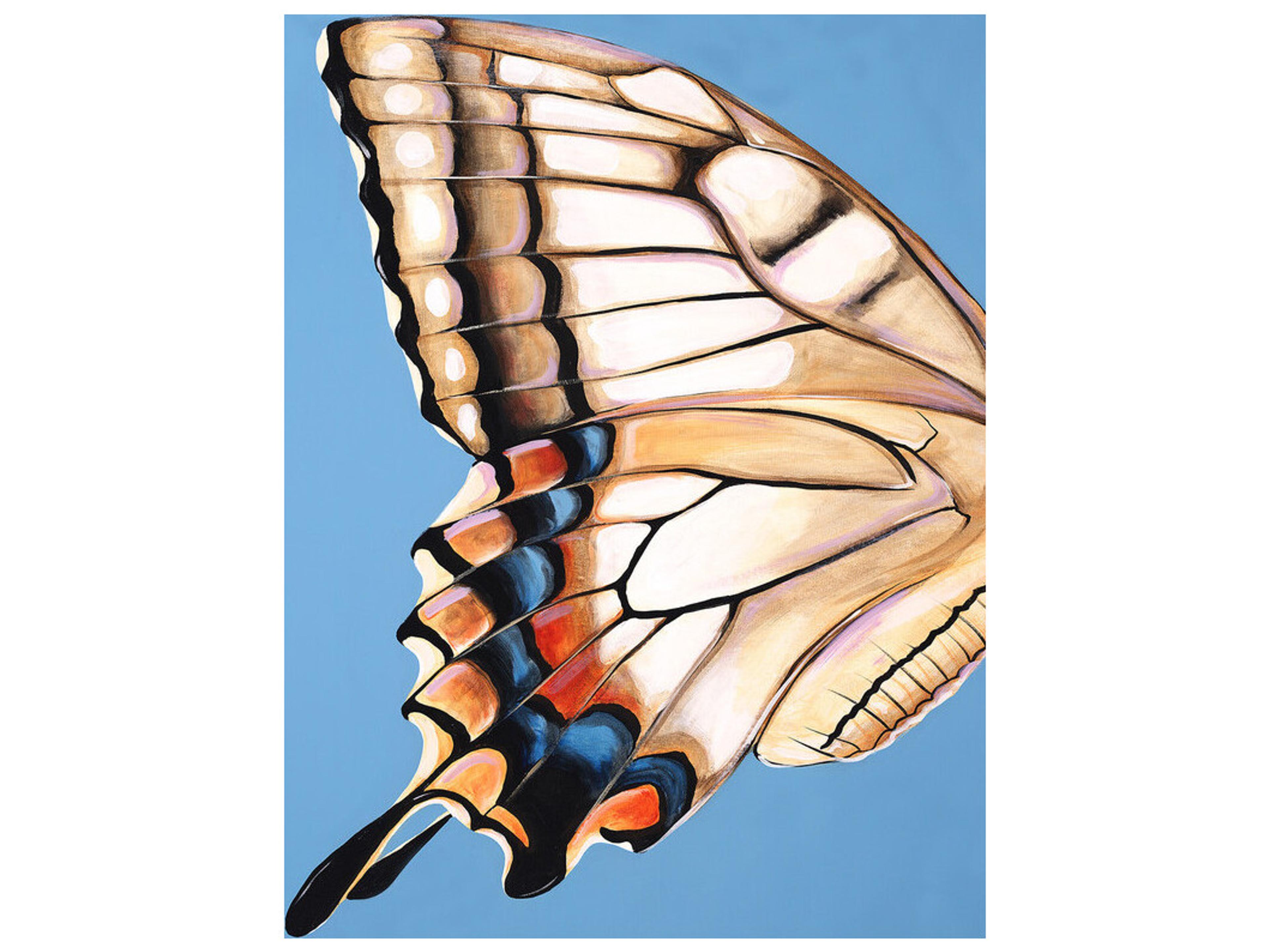 Daleno Iconic Wing Span Wall Art