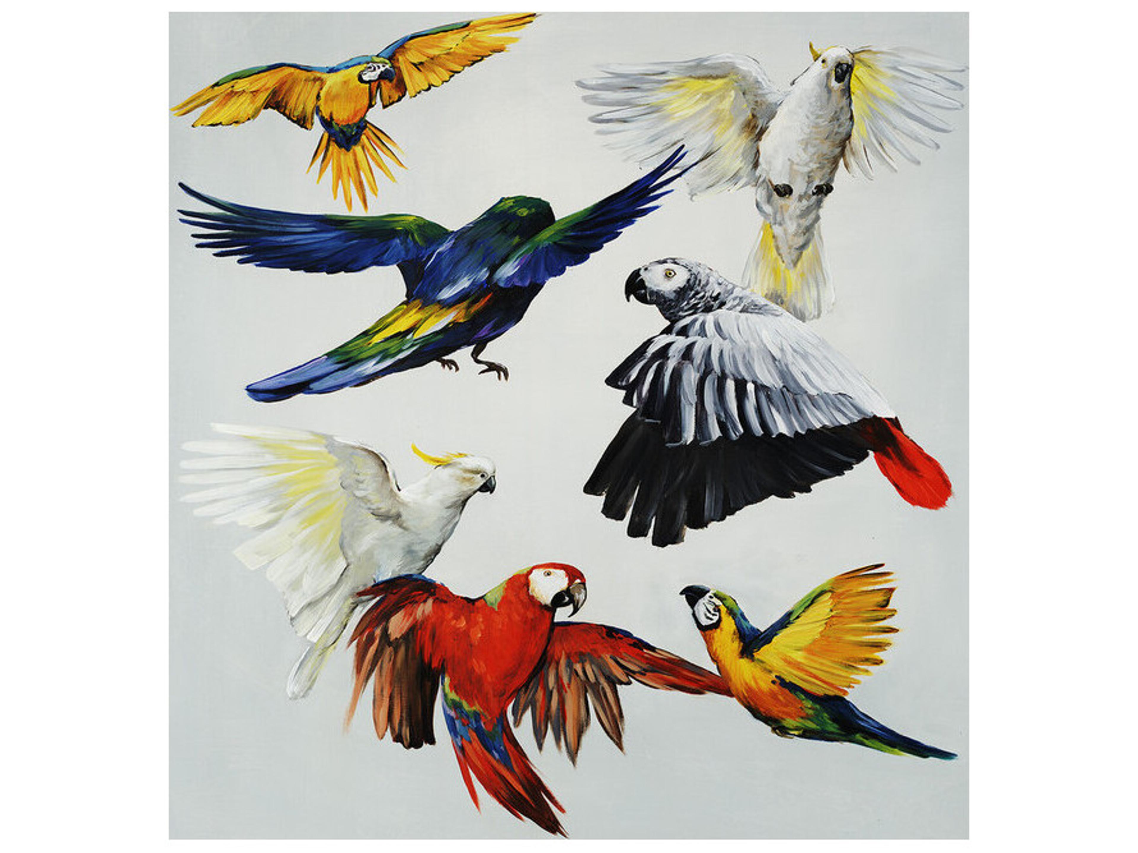 Daleno Rare Beauties Wall Art