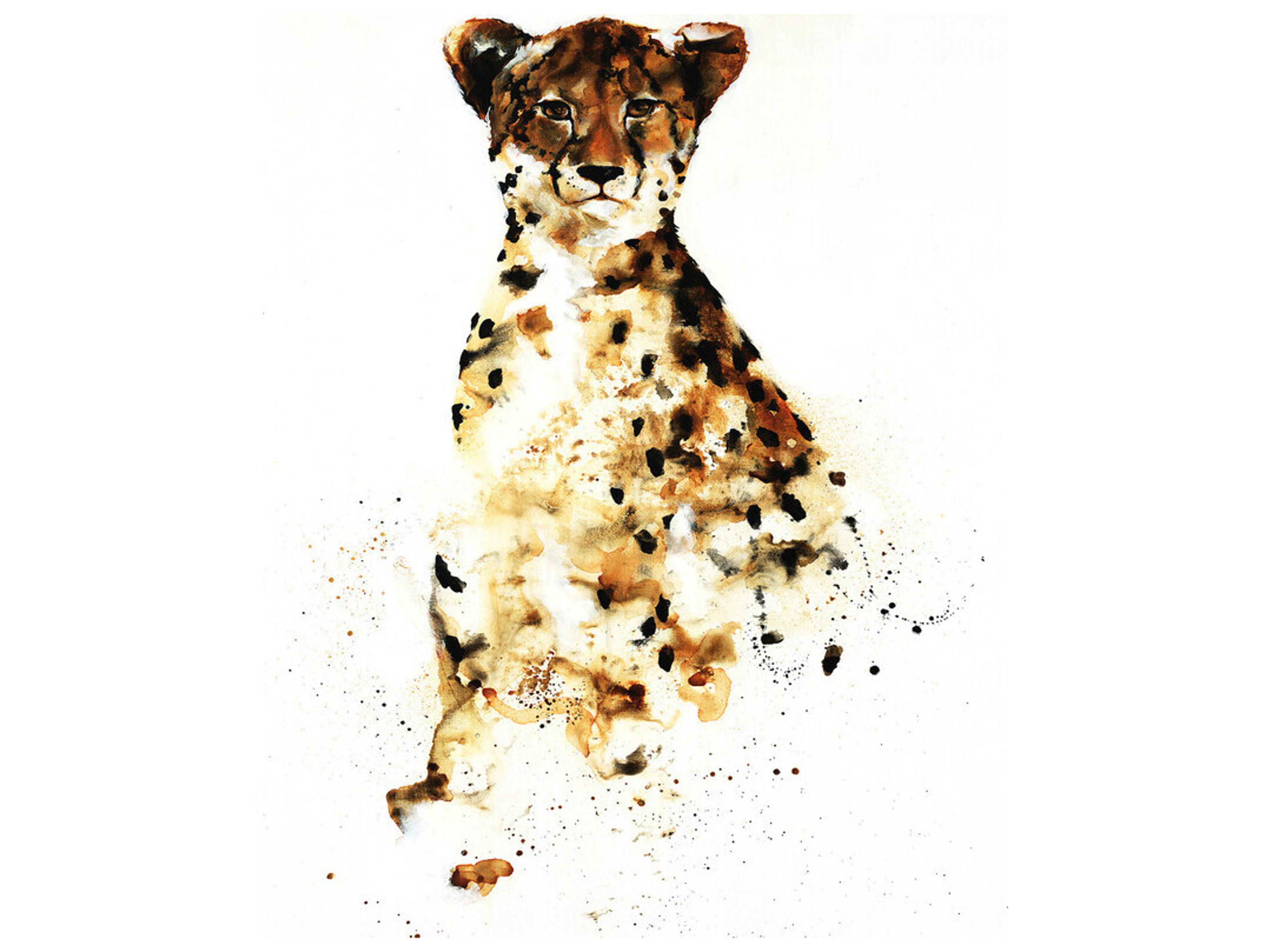 Daleno Safari Scope Wall Art