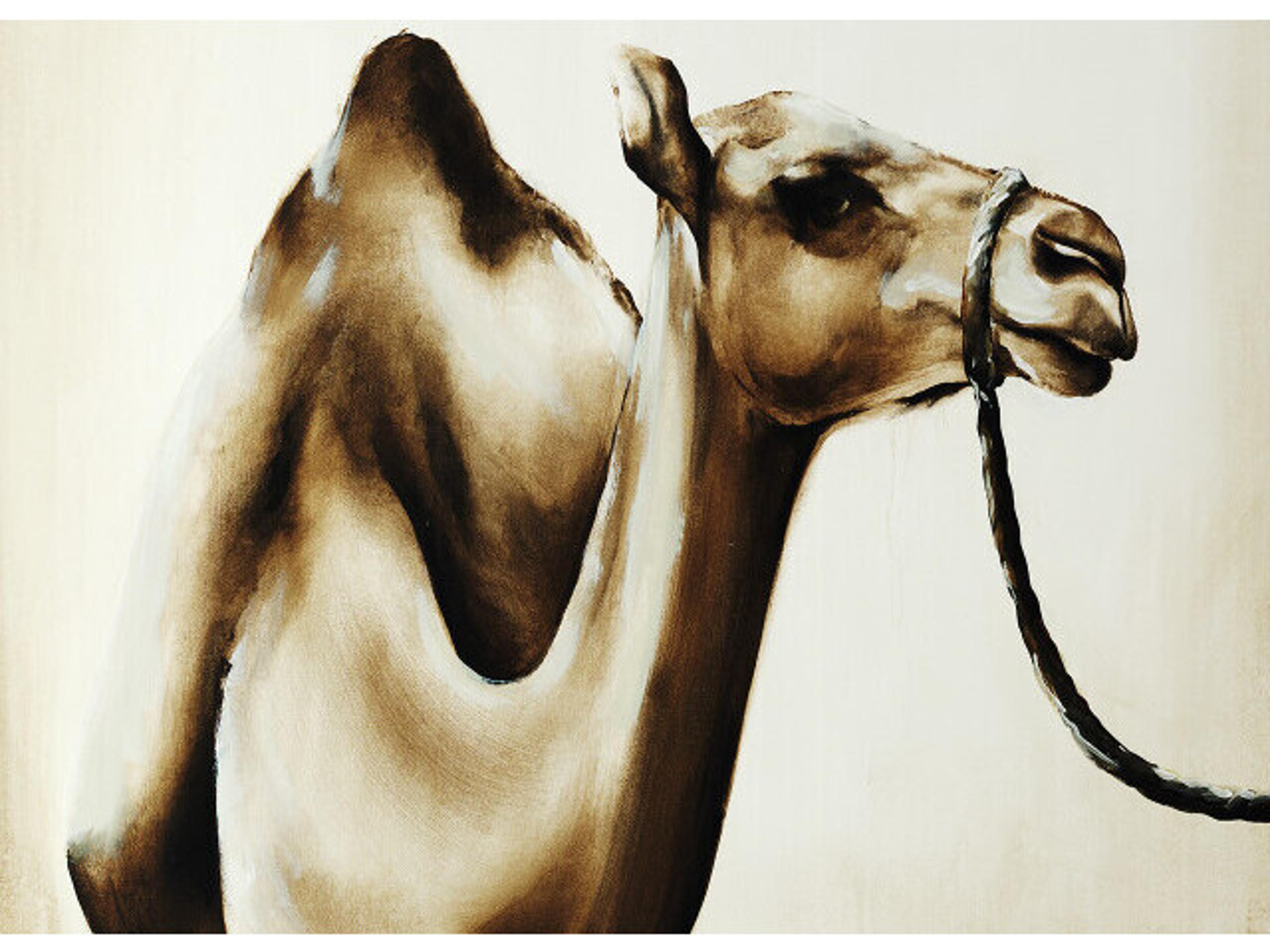 Daleno Hump Day Wall Art