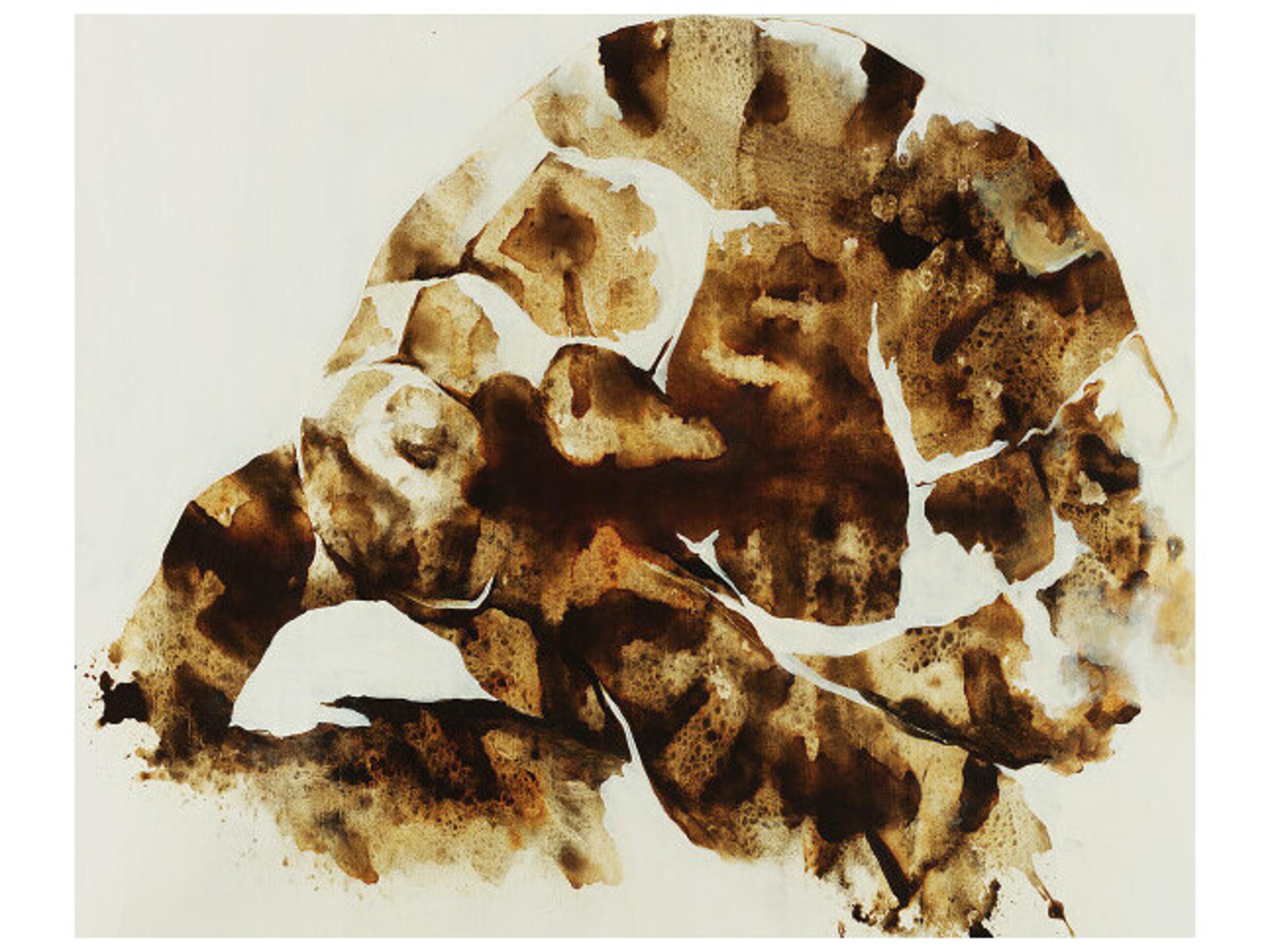 Daleno Winner Of The Race Wall Art