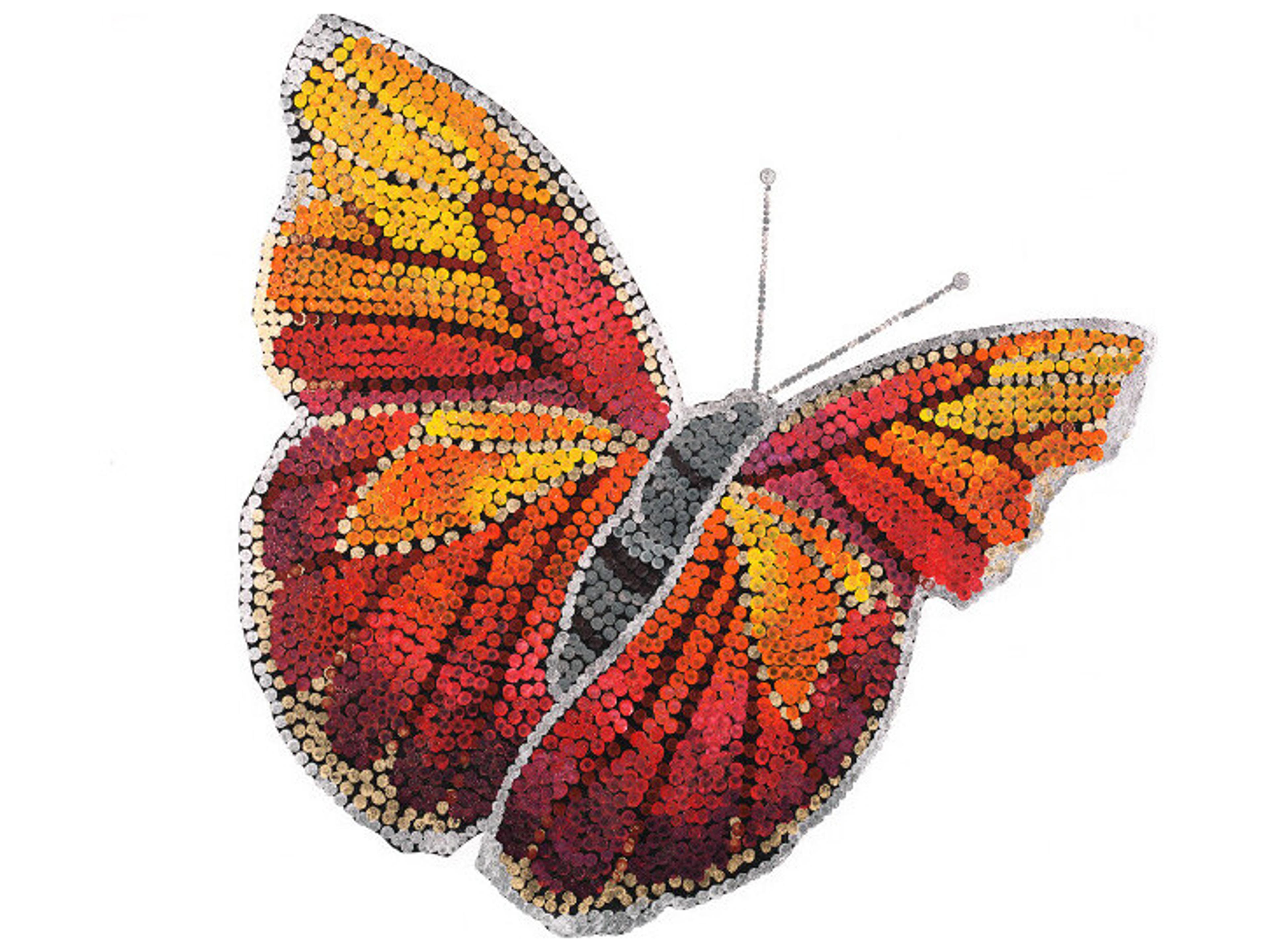 Sparkled Flight Wall Art