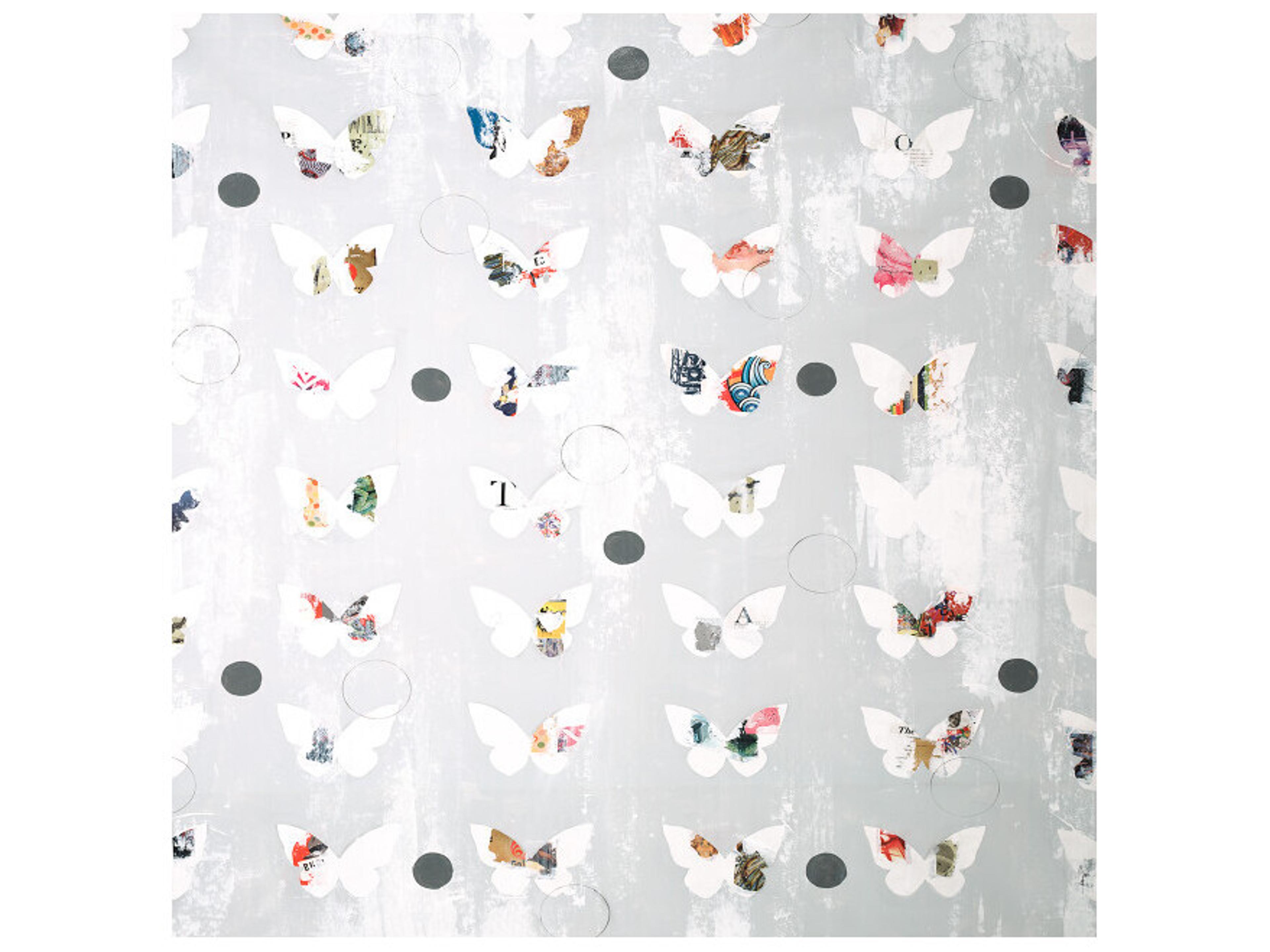 Daleno Quirky Wall Art