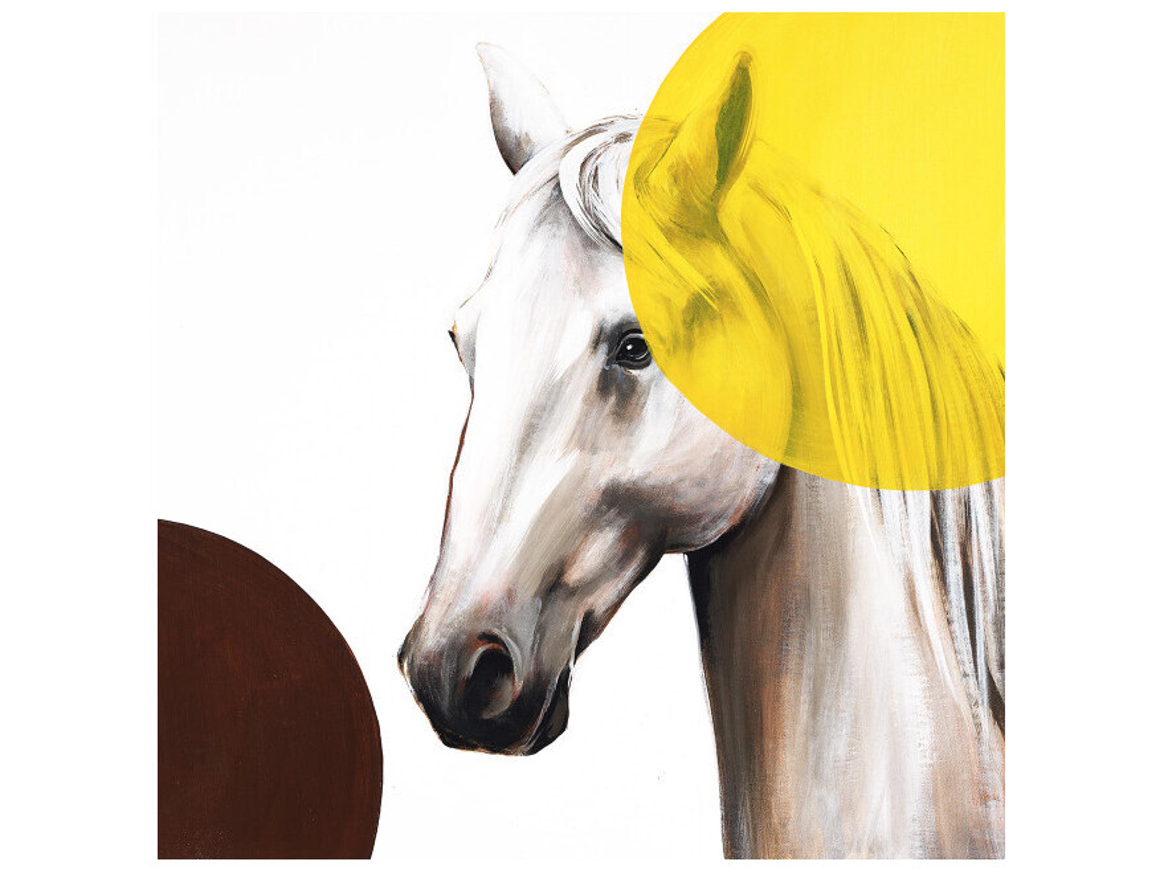 Daleno Canary Colored Glasses Wall Art