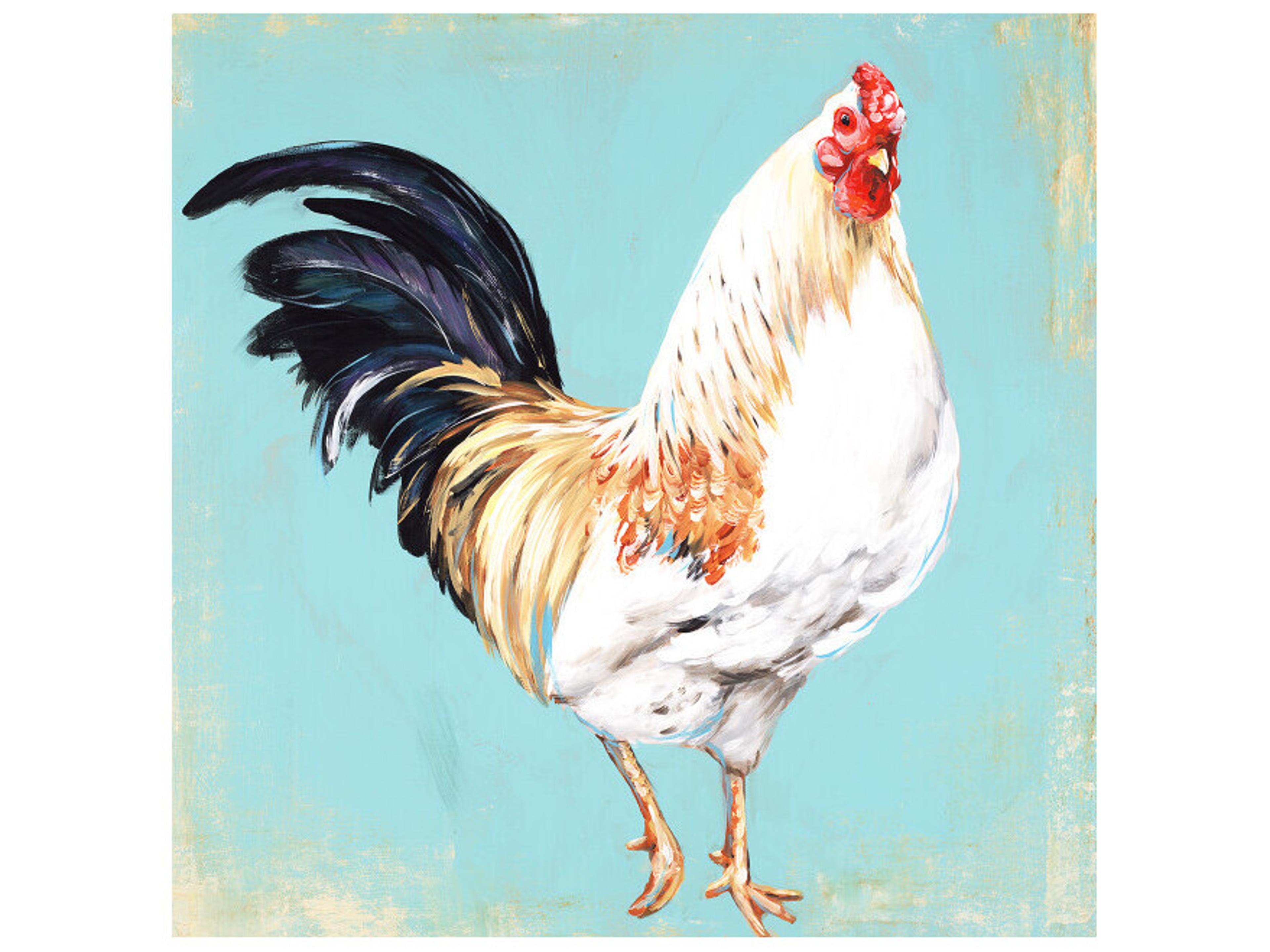 Daleno Roosterfish III Wall Art