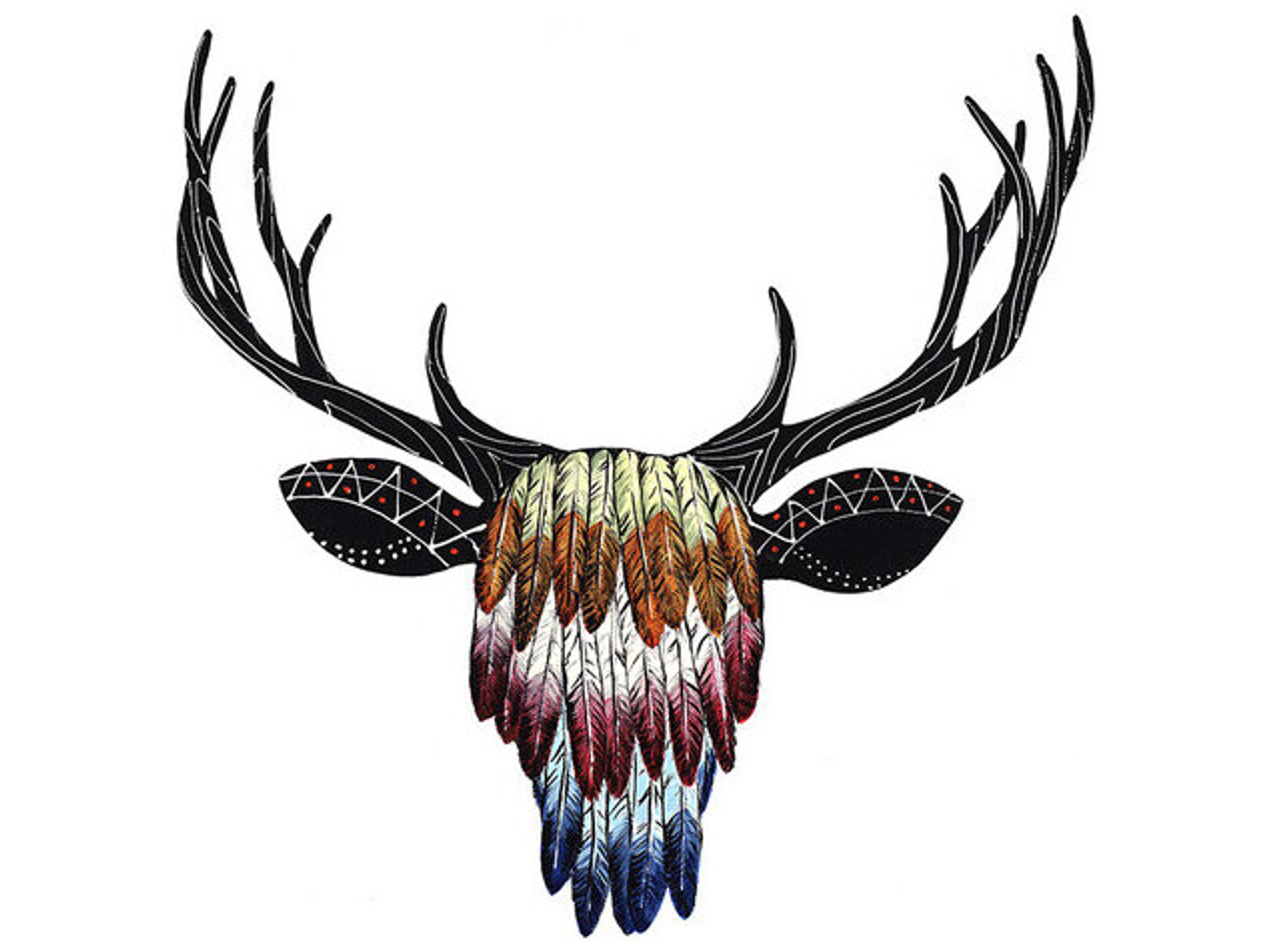 Horse of A Different Feather Wall Art