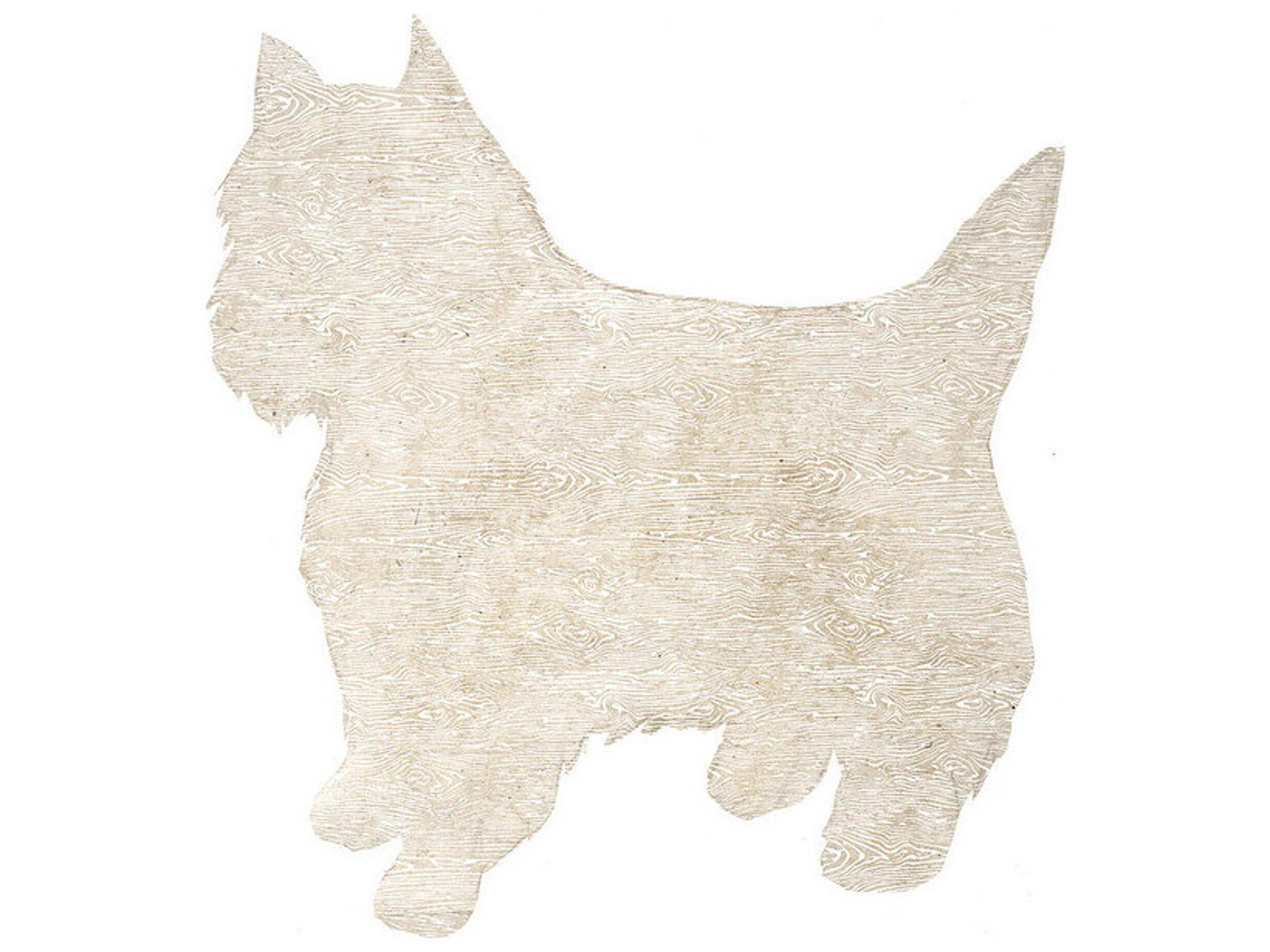 Dazzle Dogs II Wall Art