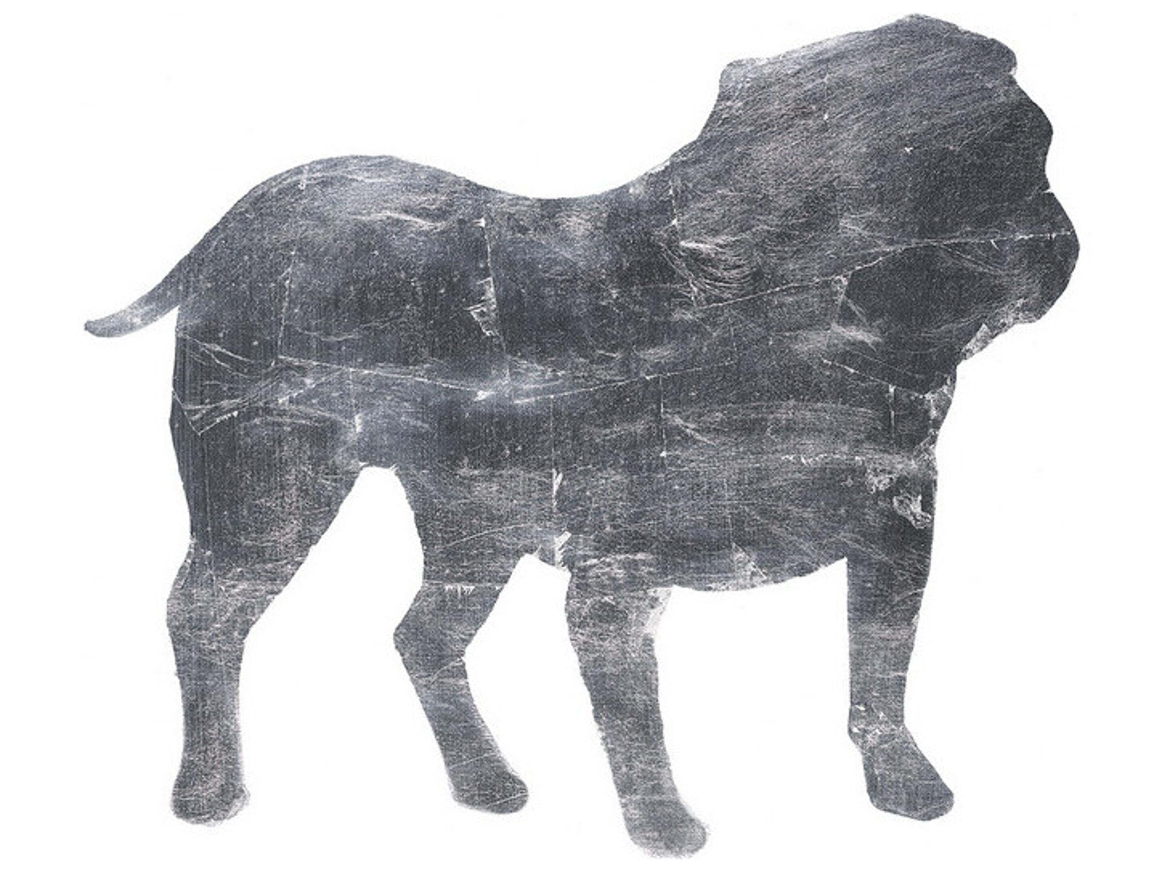 Daleno Dazzle Dogs III Wall Art