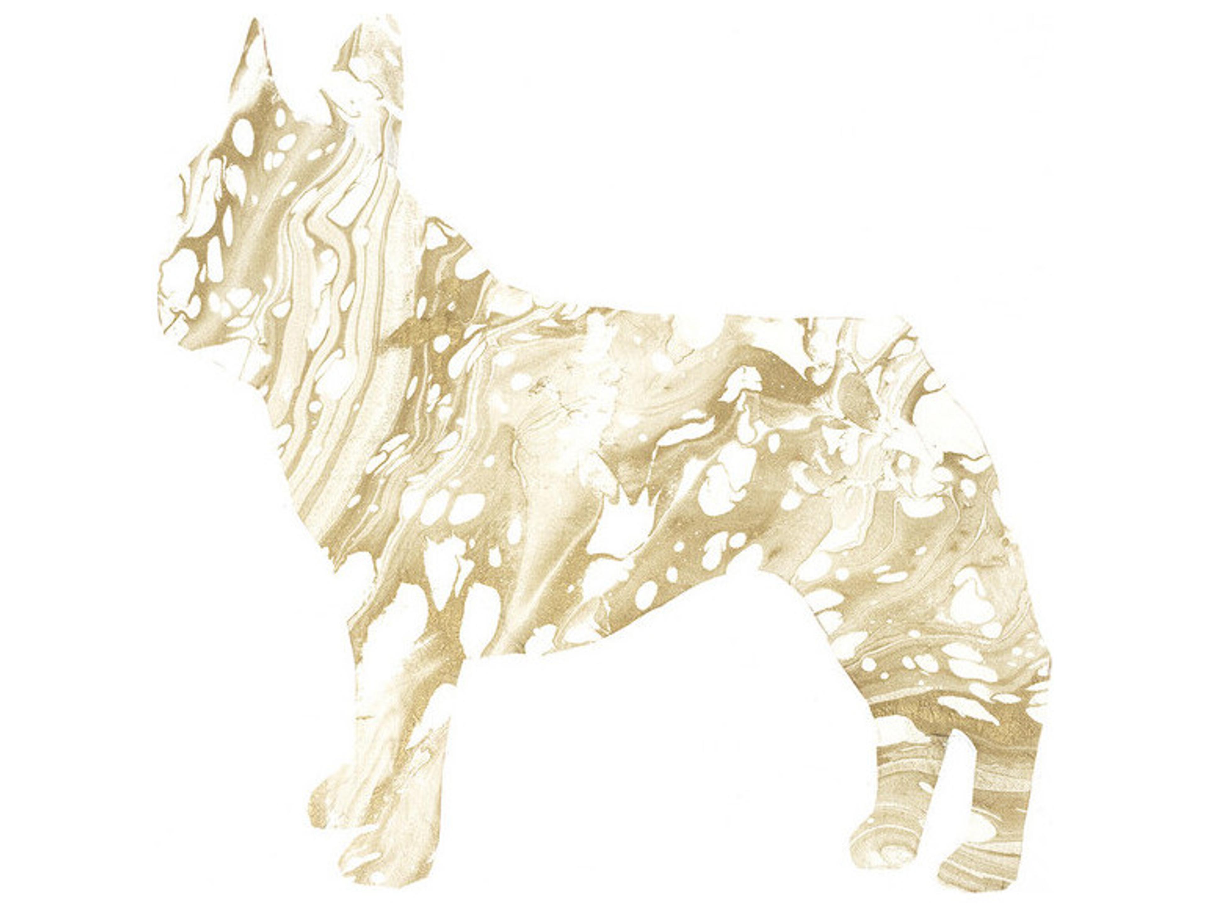 Dazzle Dogs IV Wall Art