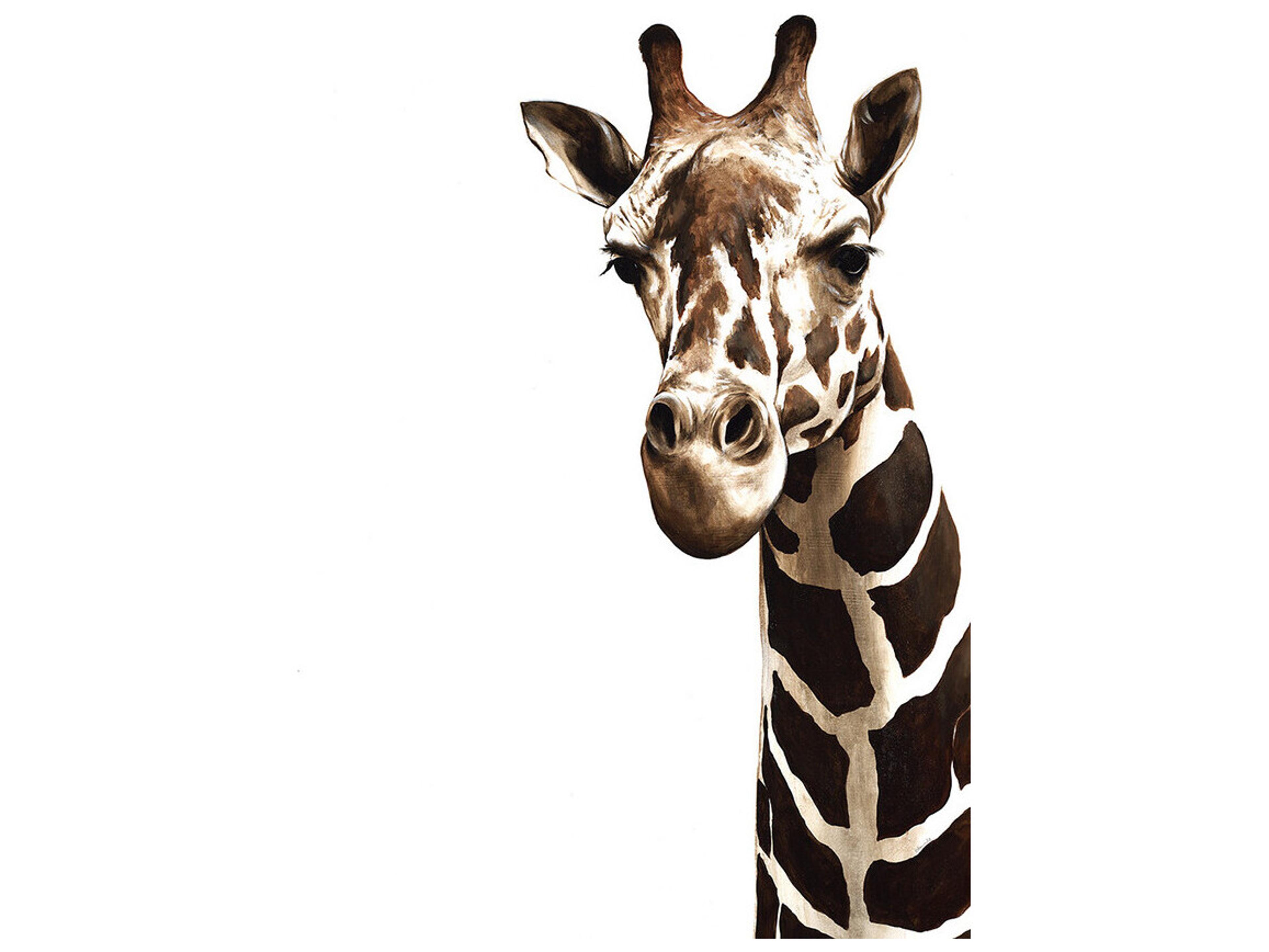 Daleno Afternoon Visit Wall Art