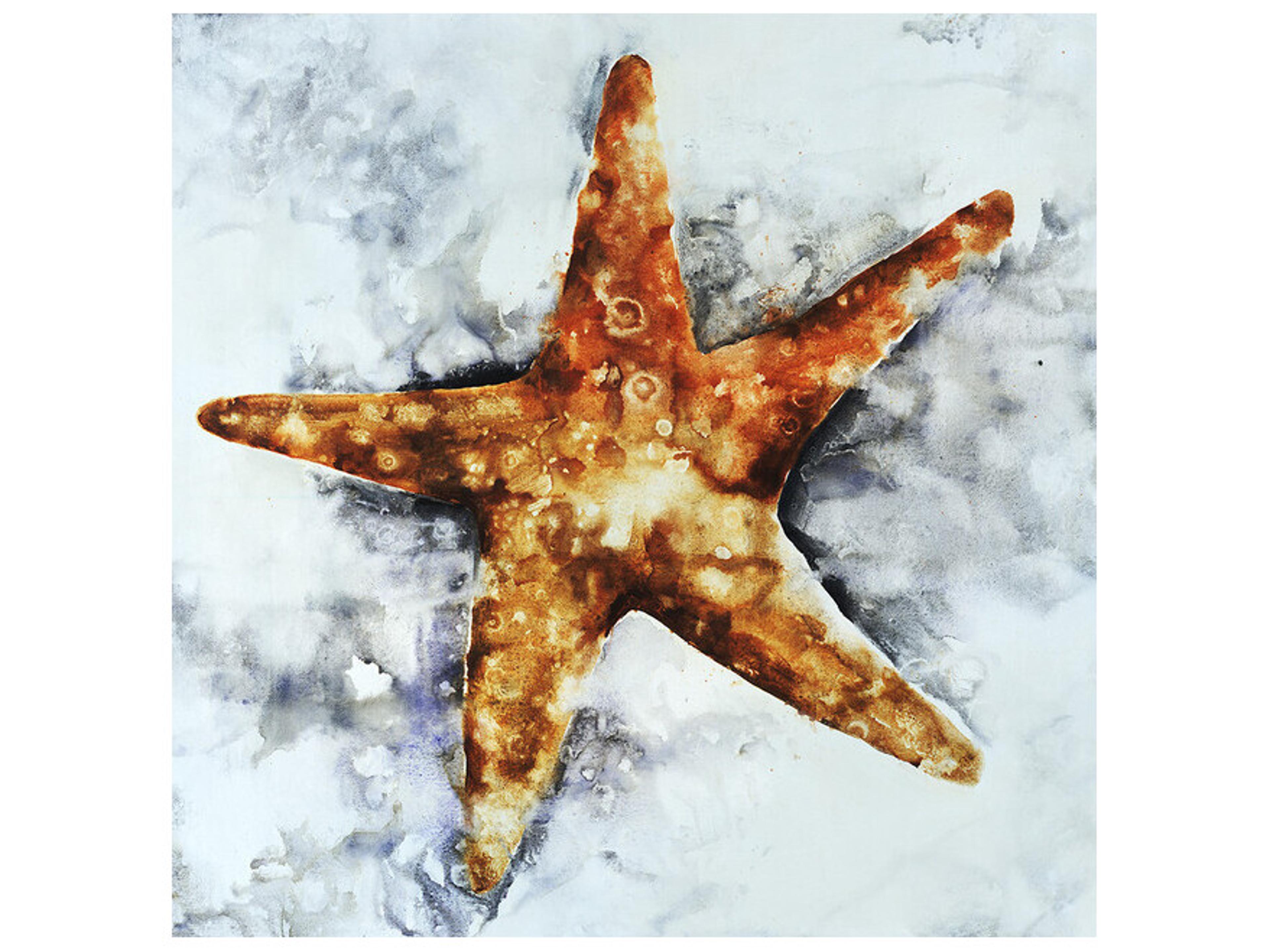 Daleno On Waters Edge Wall Art