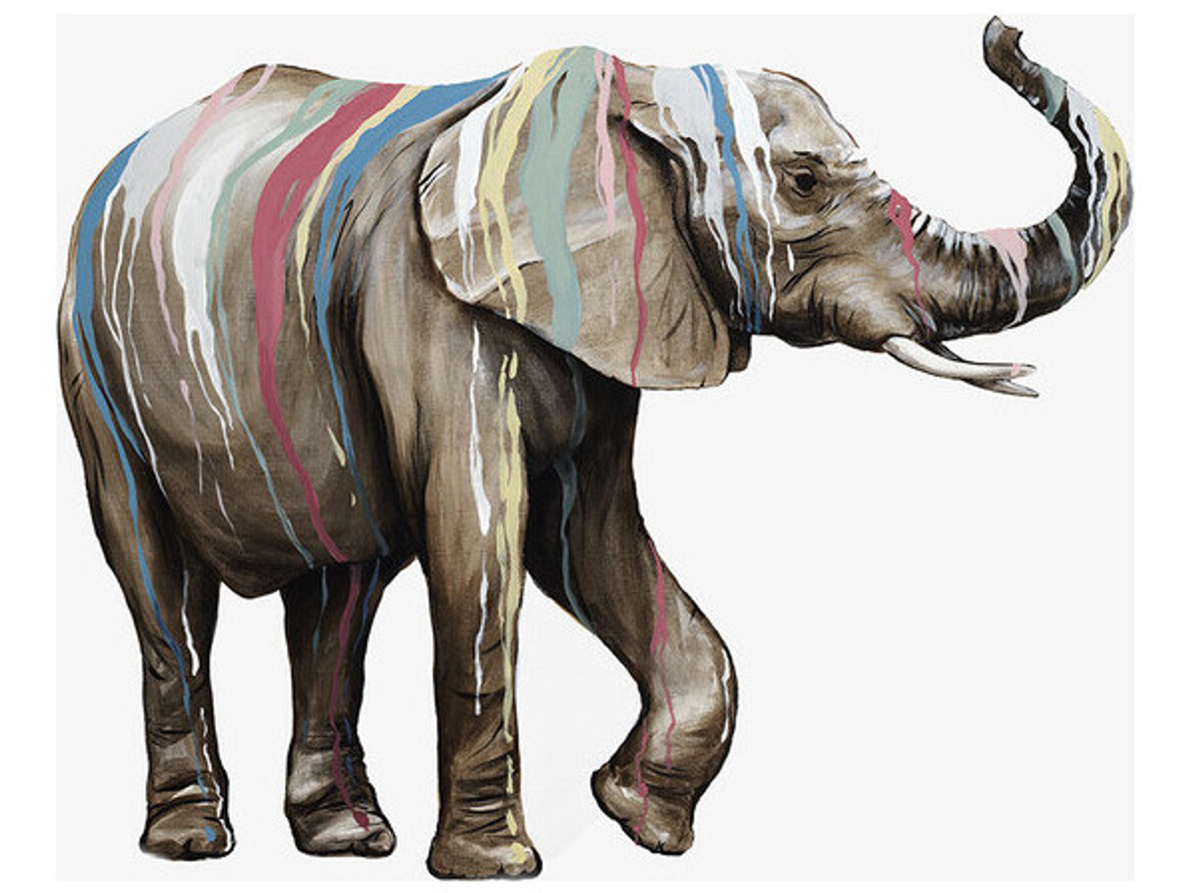 Daleno Circus Surprise Wall Art