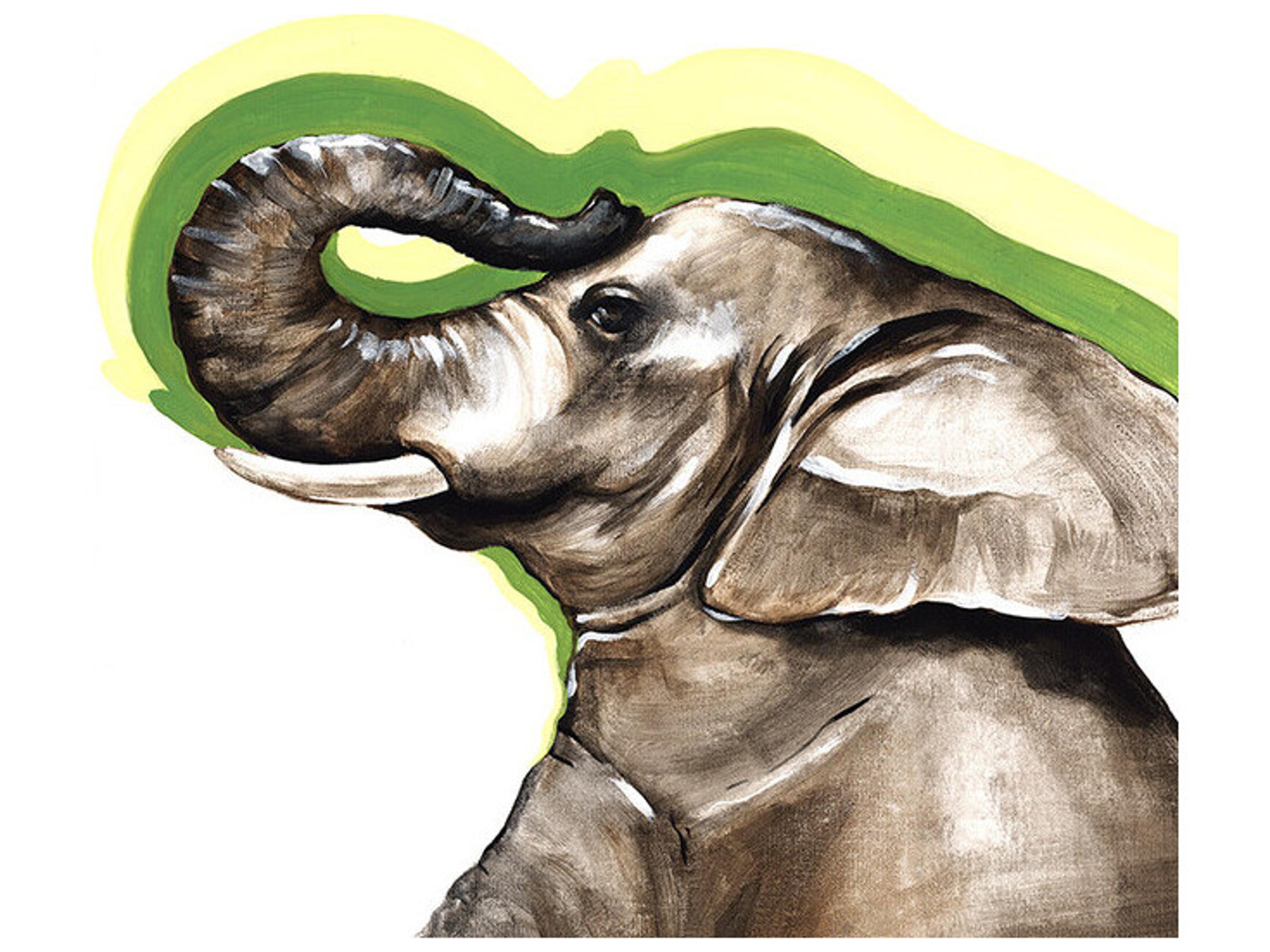 Daleno Jumanji II Wall Art