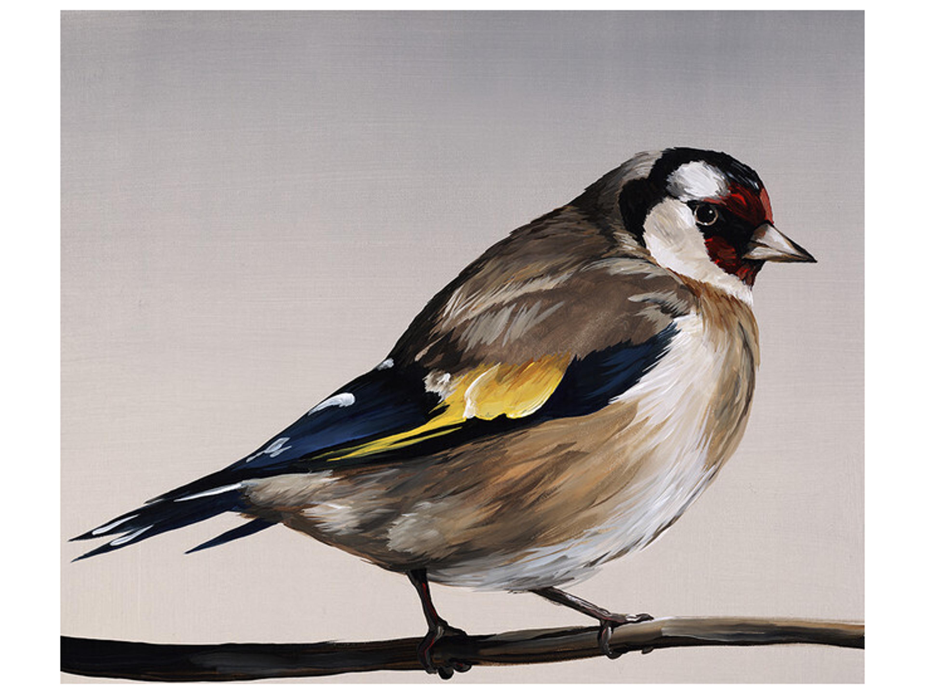 Good Morning V Wall Art