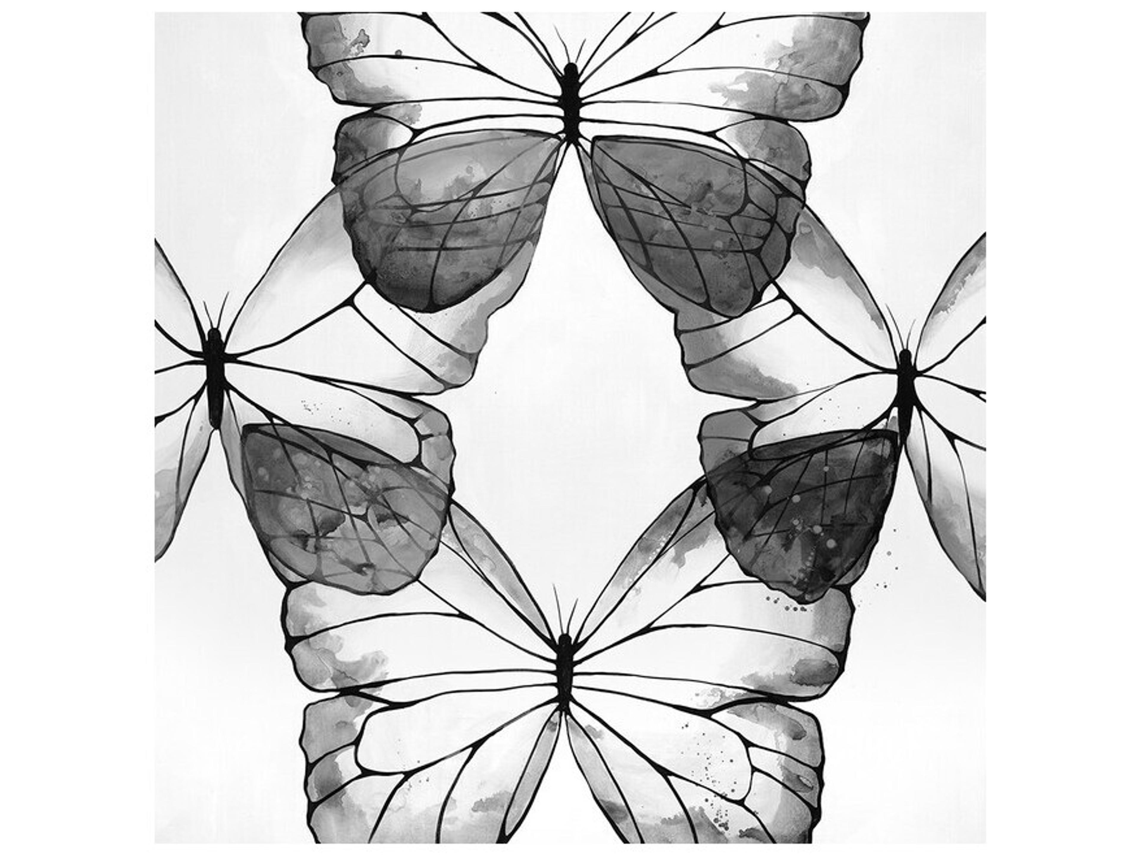 Daleno Natures Calm Wall Art