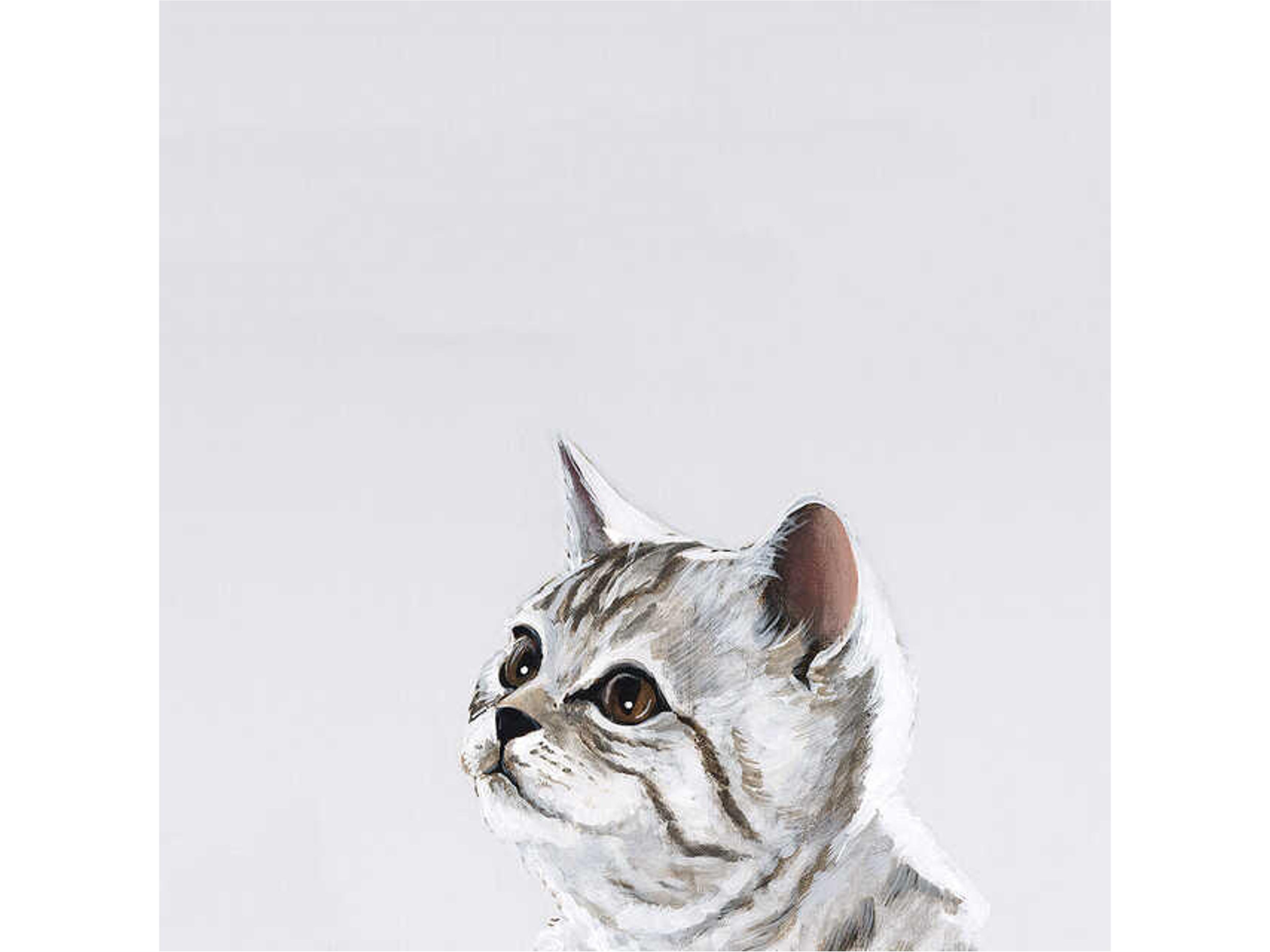 Daleno Chasing My Tail I Wall Art