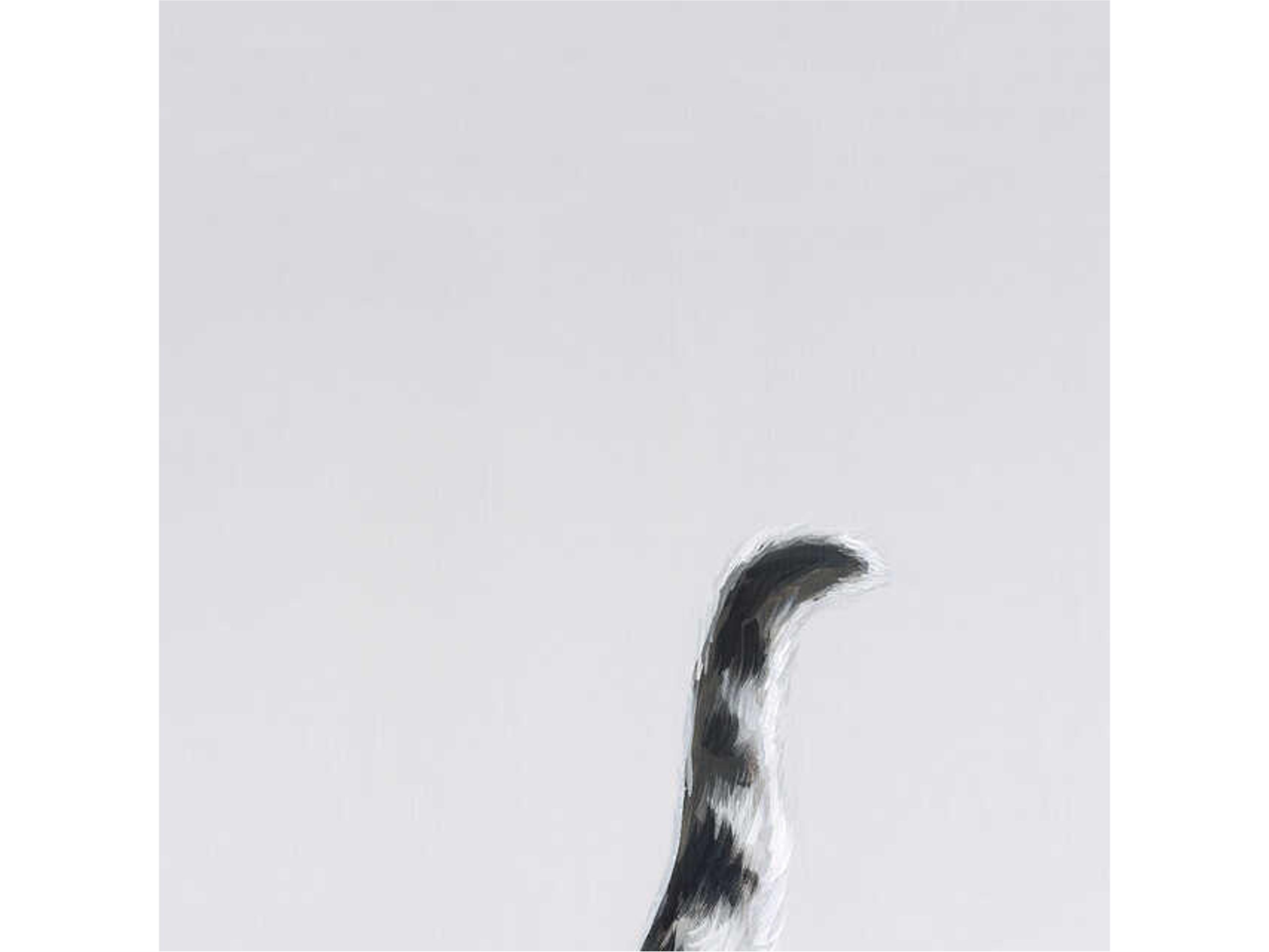 Chasing My Tail II Wall Art