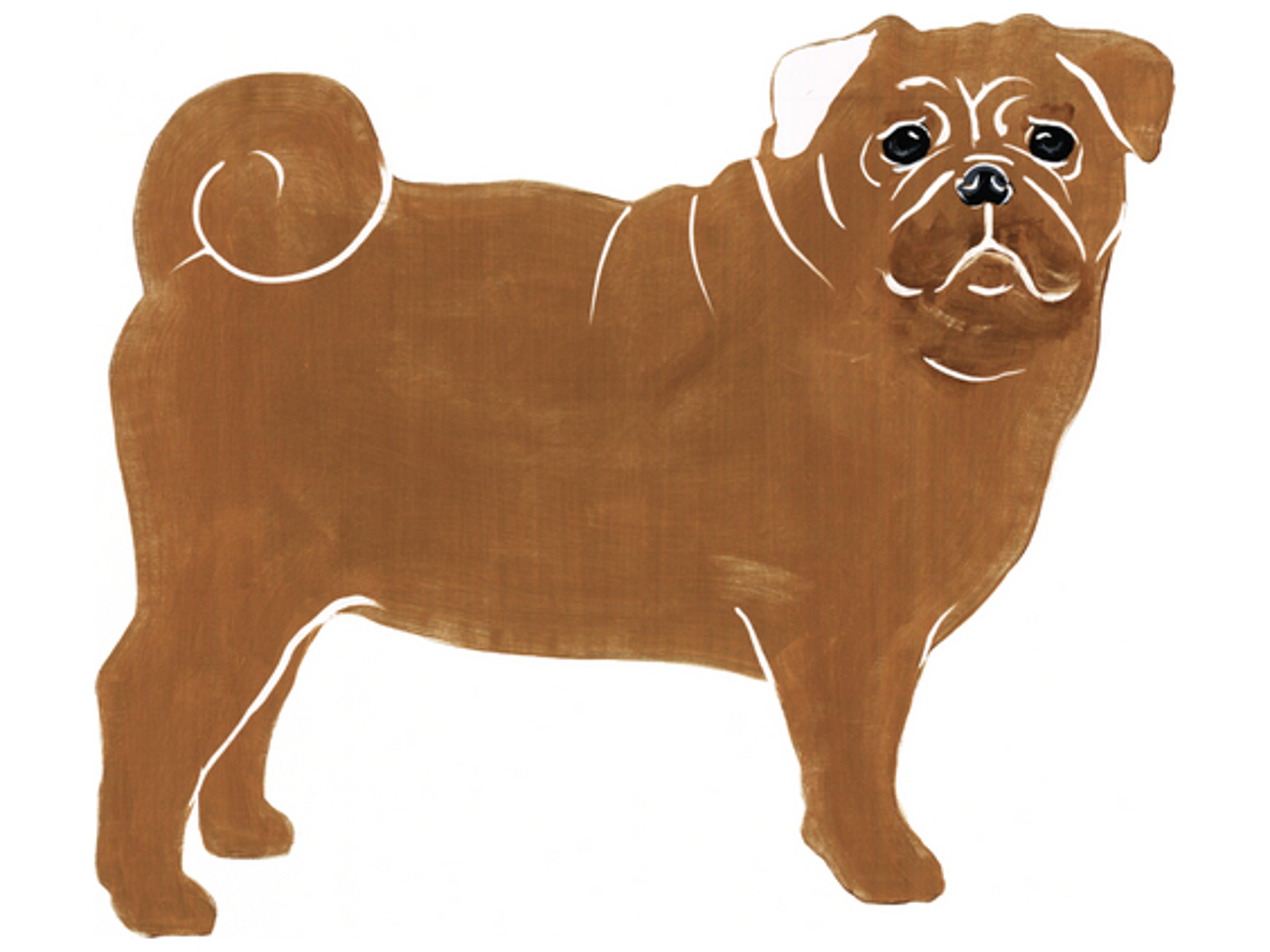 Kennel Club Winners I Wall Art