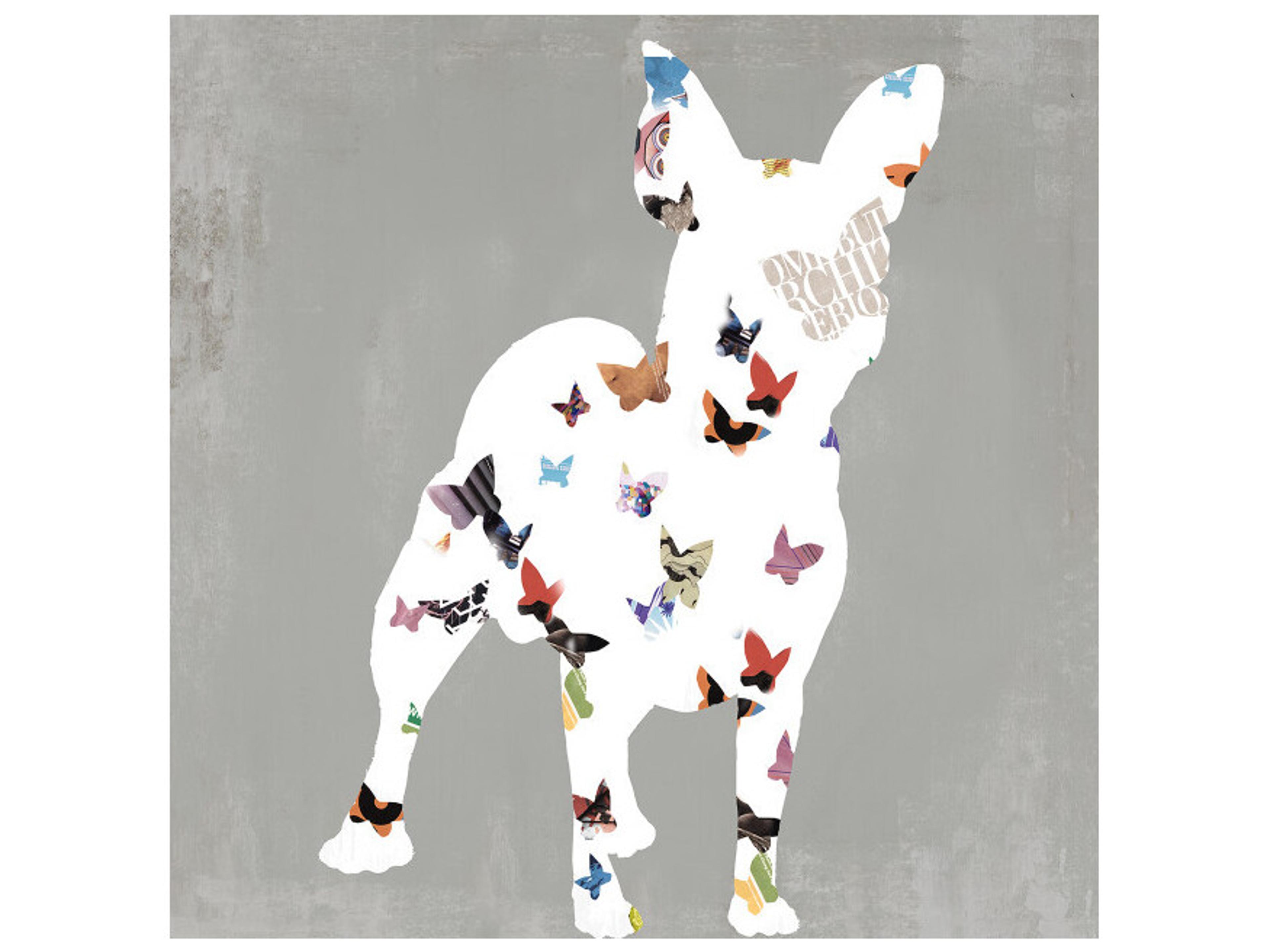 Daleno Fly Pup II Wall Art