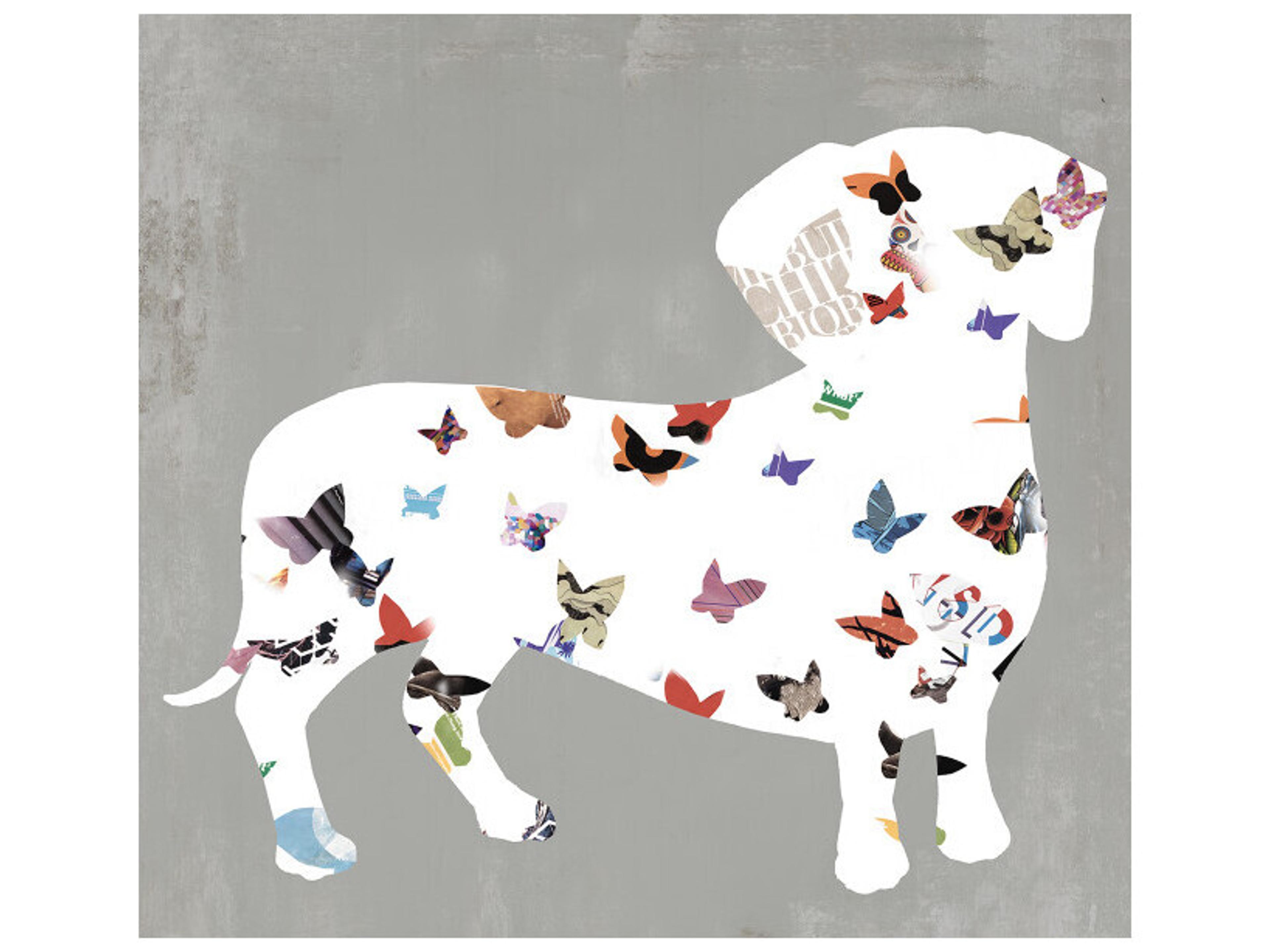 Fly Pup III Wall Art