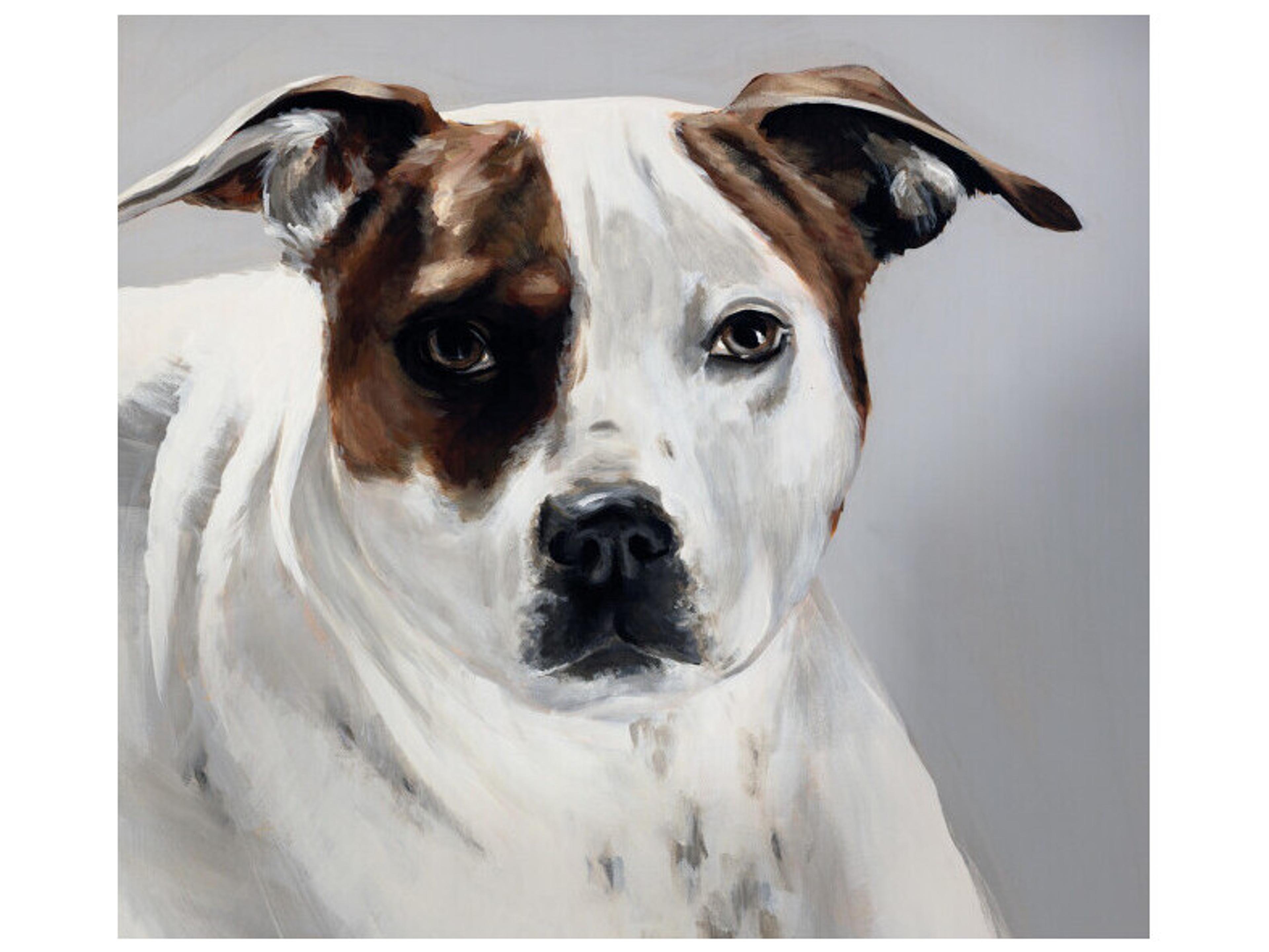 Daleno Buster Wall Art