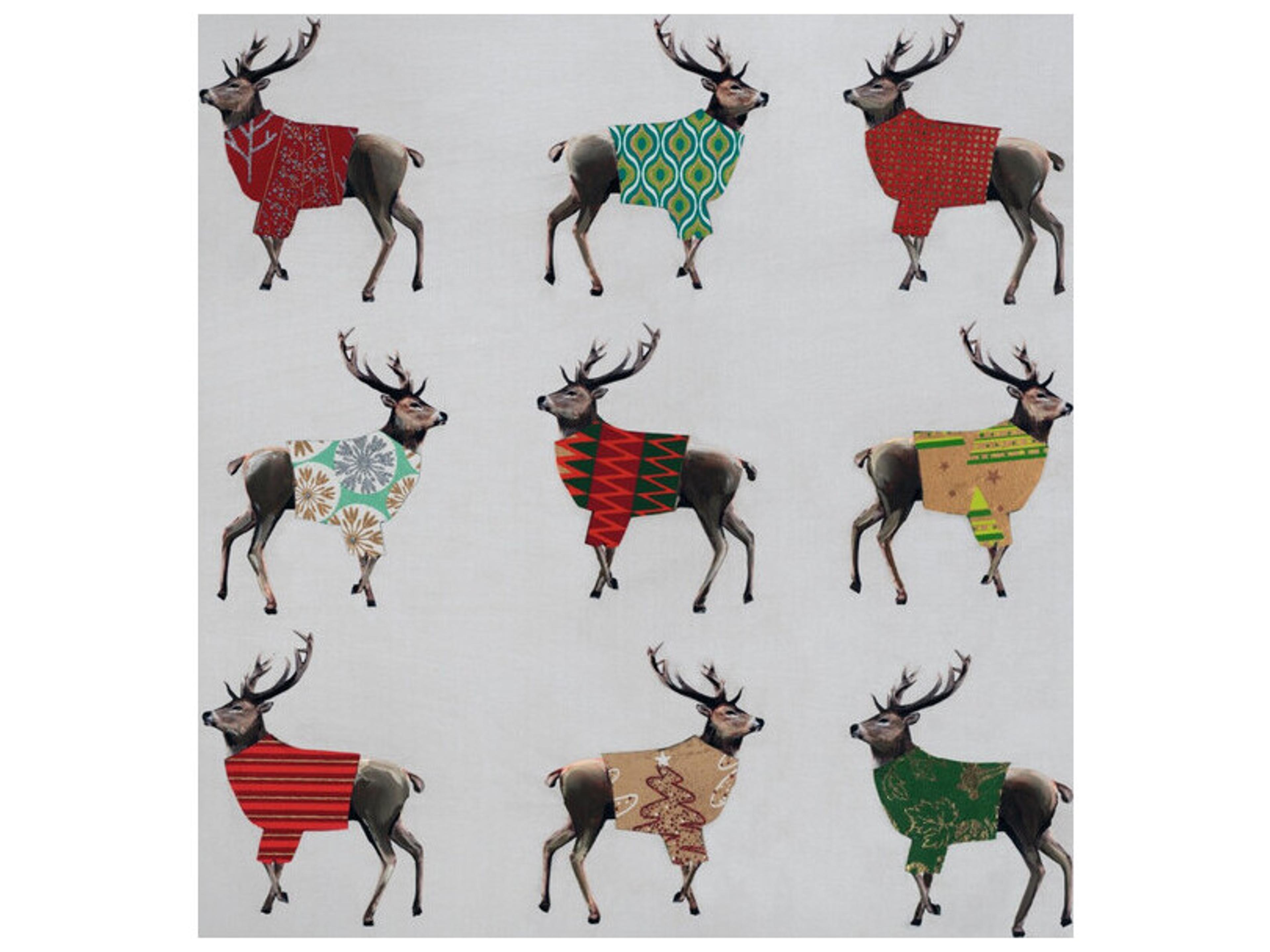 Makeover at the Zoo IV Wall Art