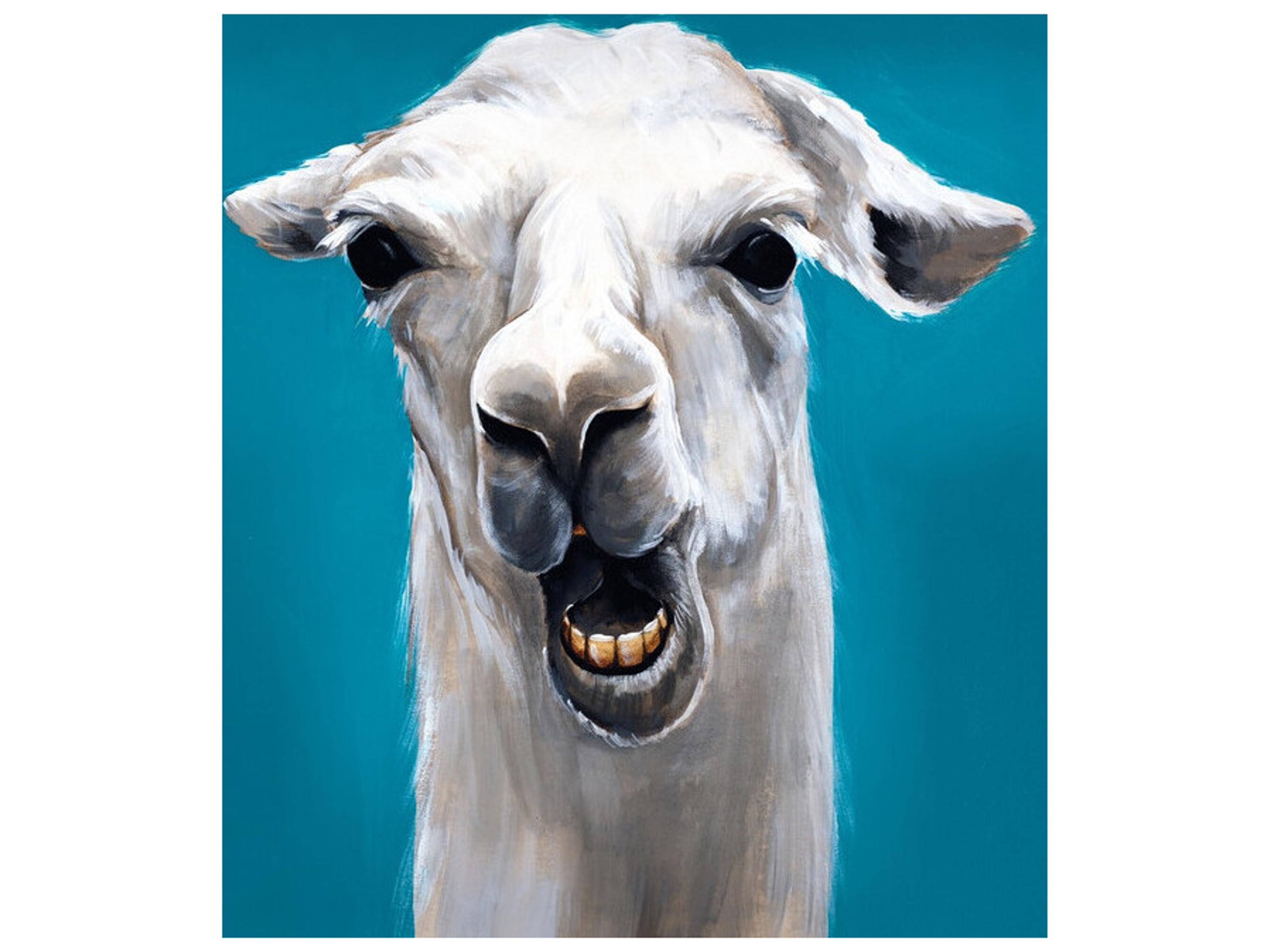 Daleno Dont be Stupid Wall Art