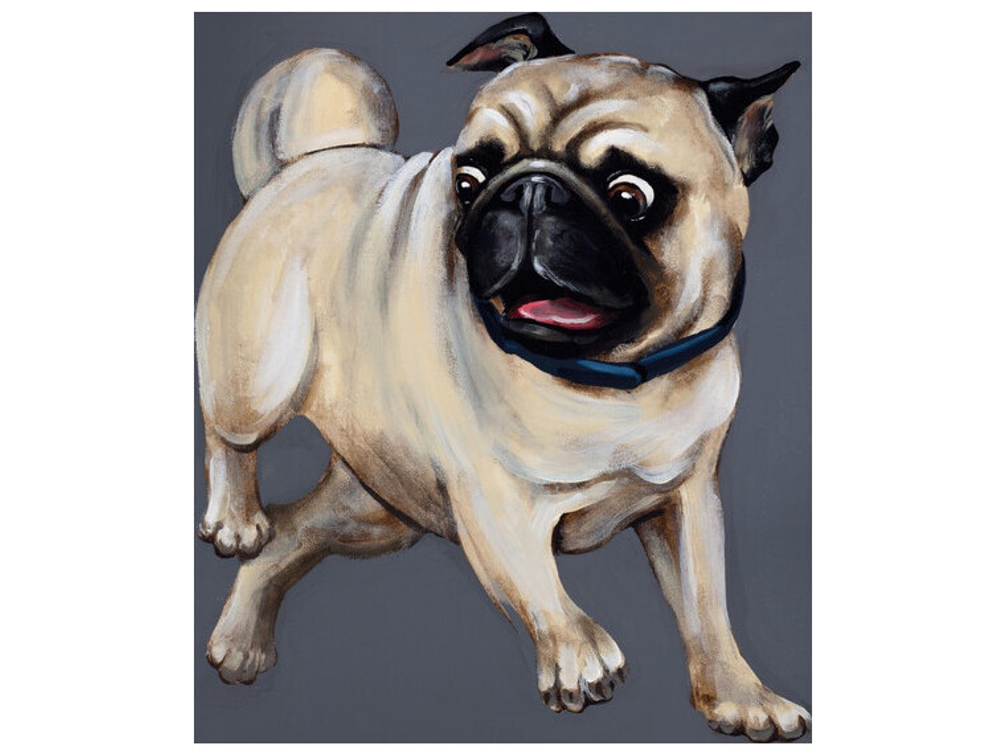 Daleno Party Pug Wall Art