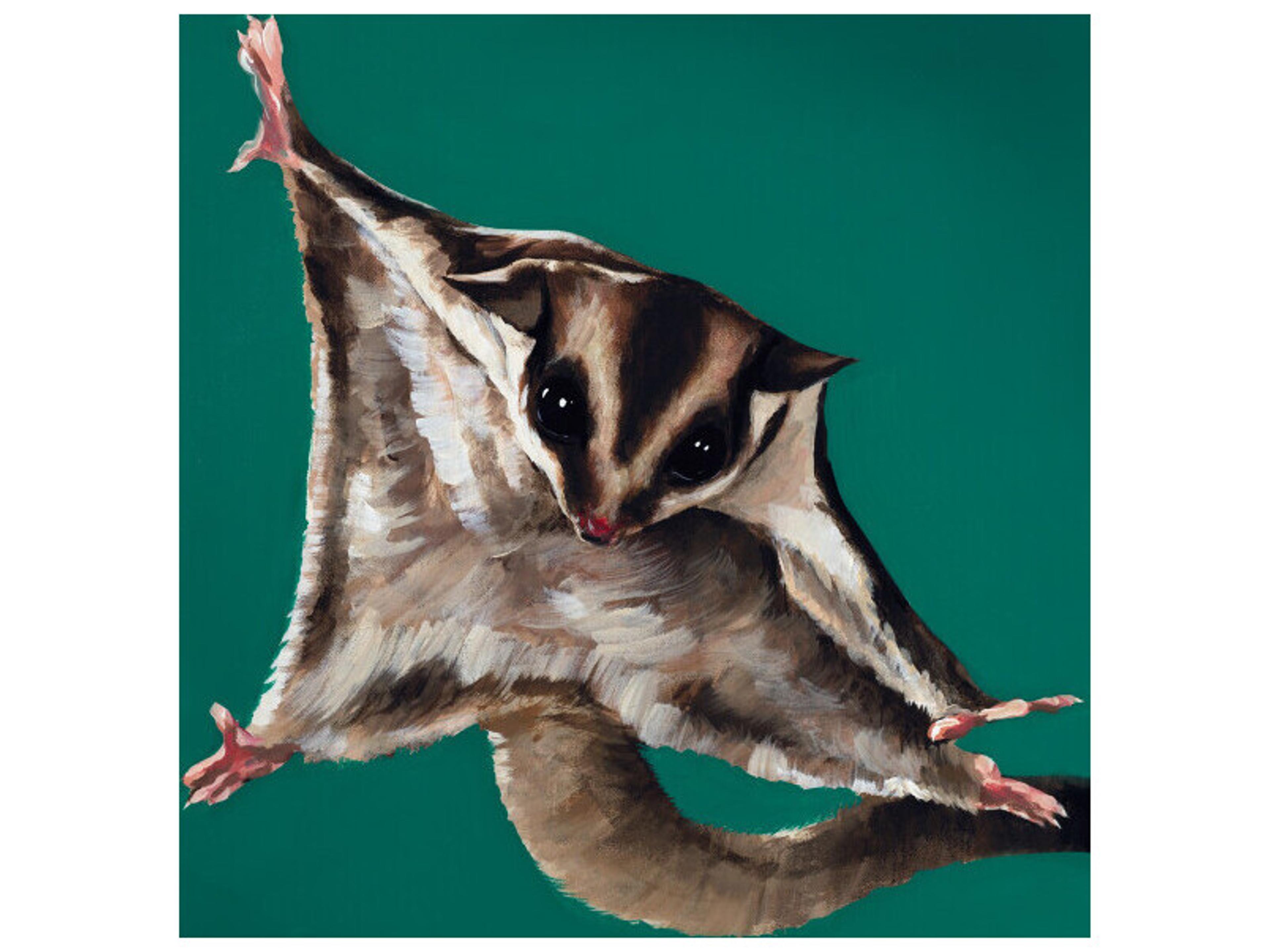 Daleno Don't Bat an Eye Wall Art