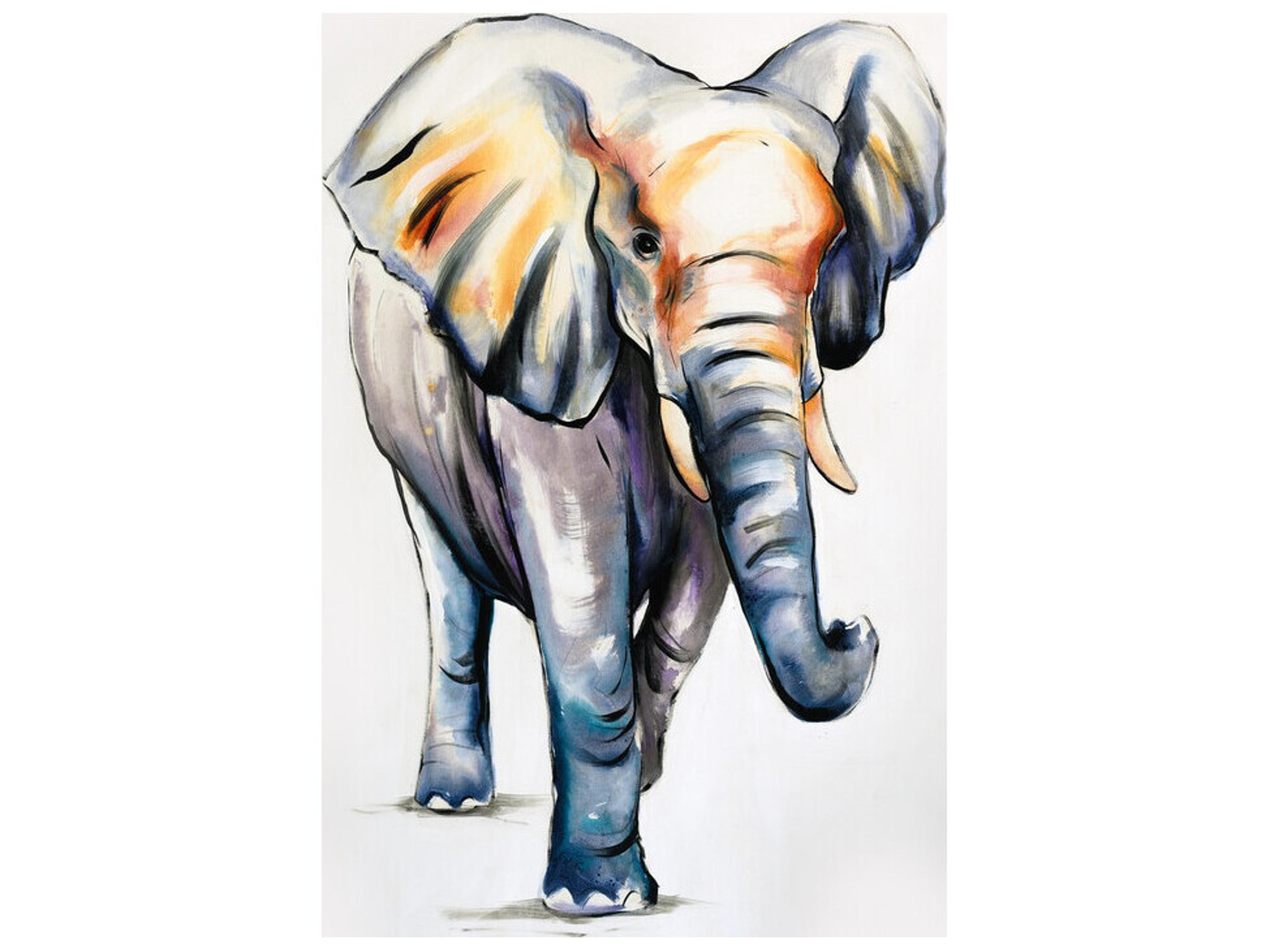 Cleverly Captured II Wall Art