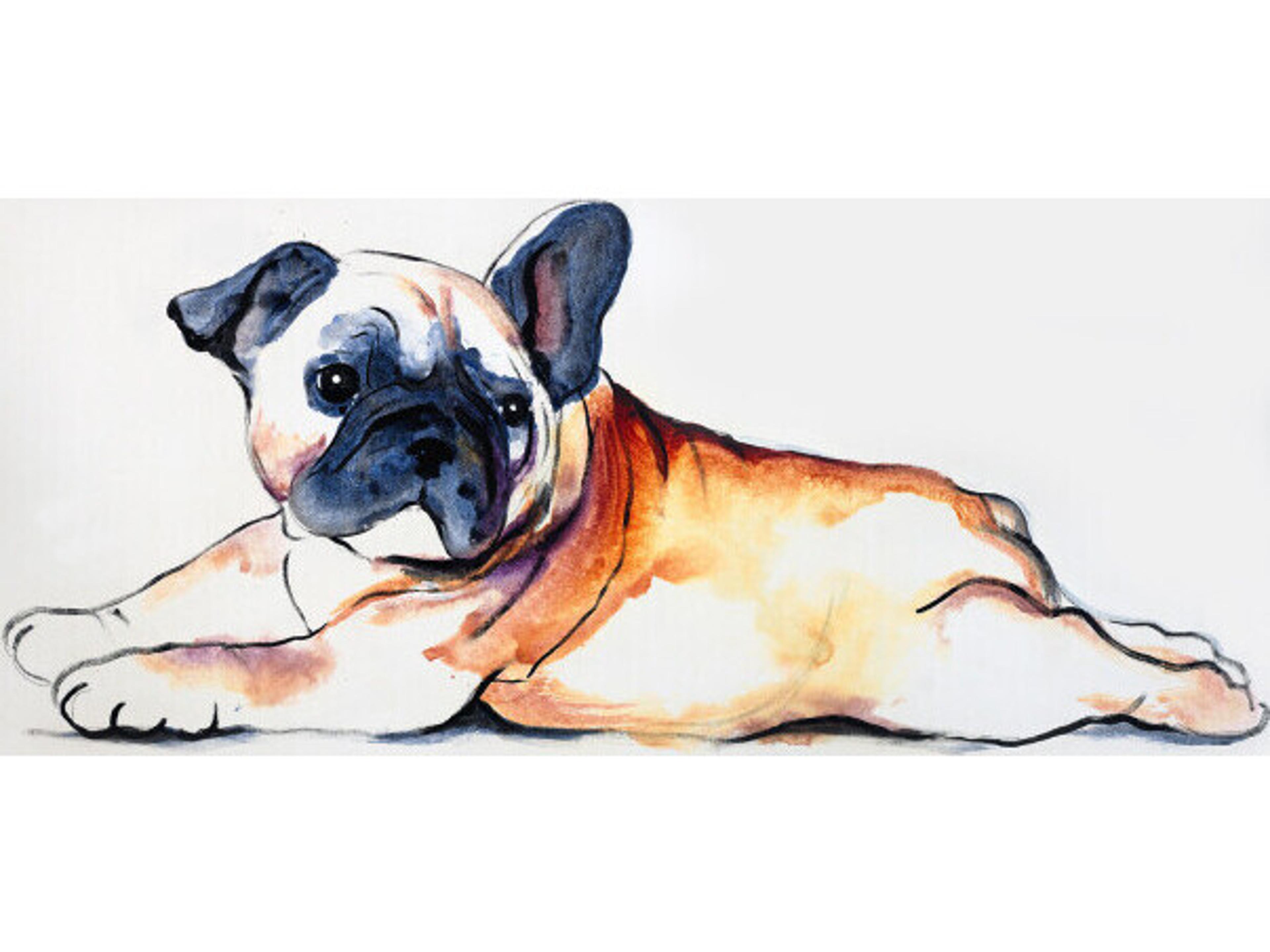 Cleverly Captured IV Wall Art