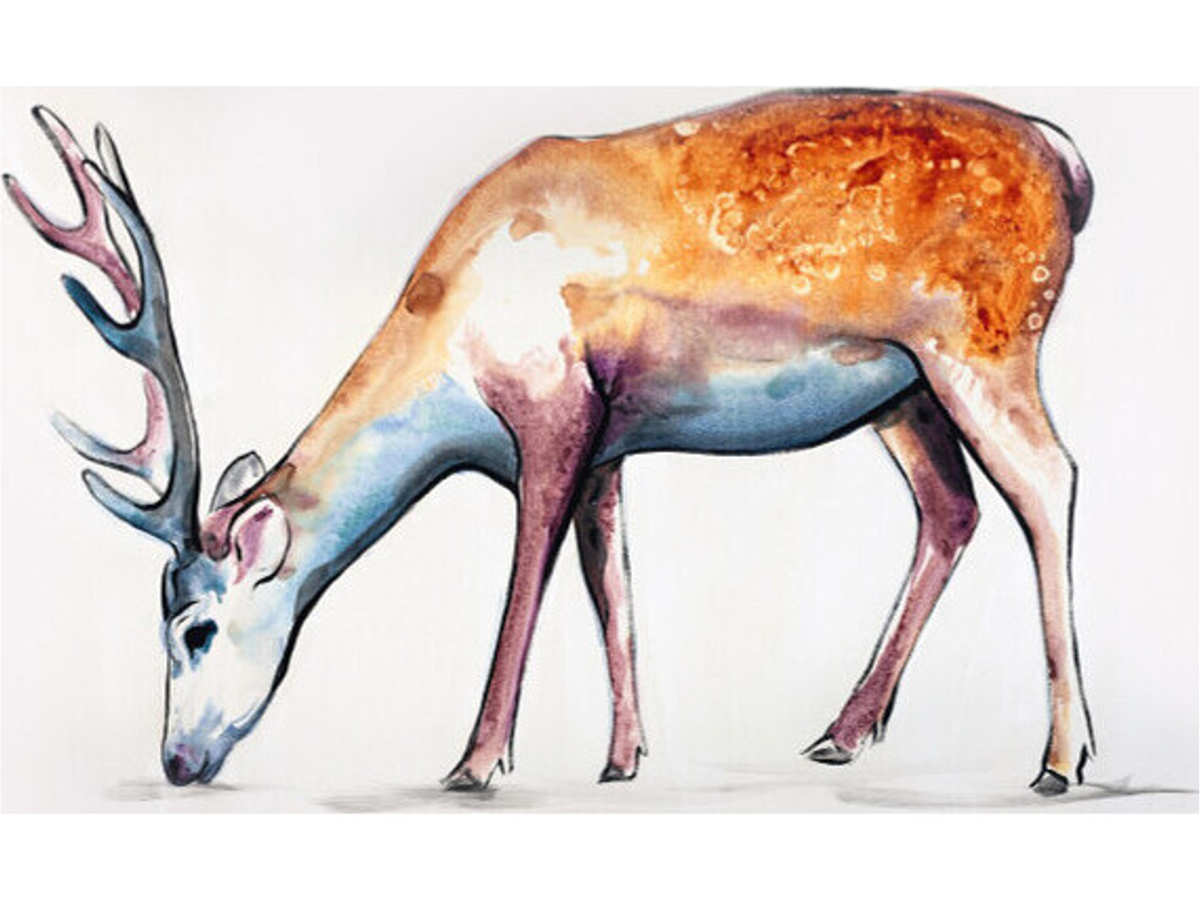 Cleverly Captured V Wall Art