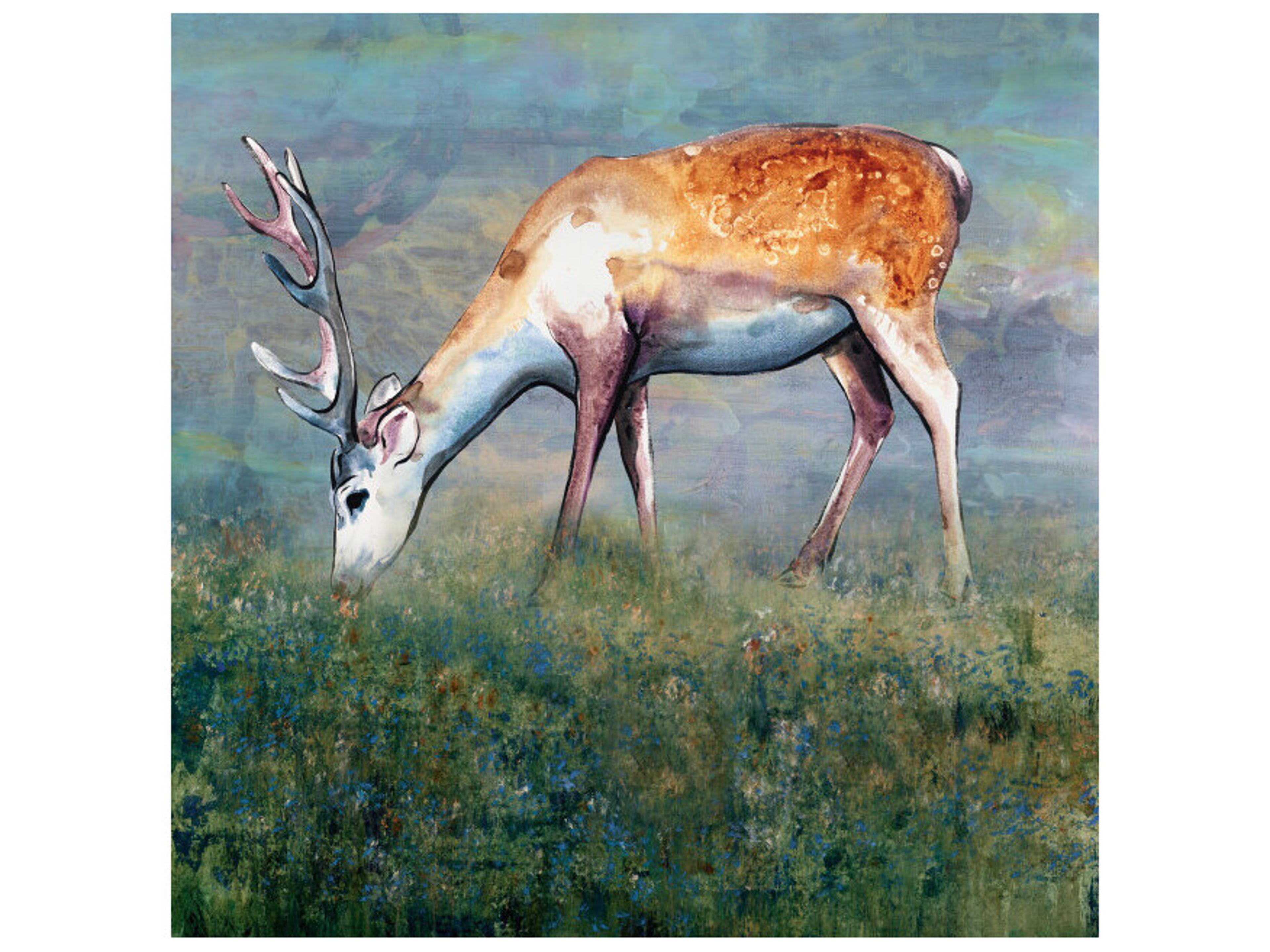 Daleno Early Morning Grazing Wall Art