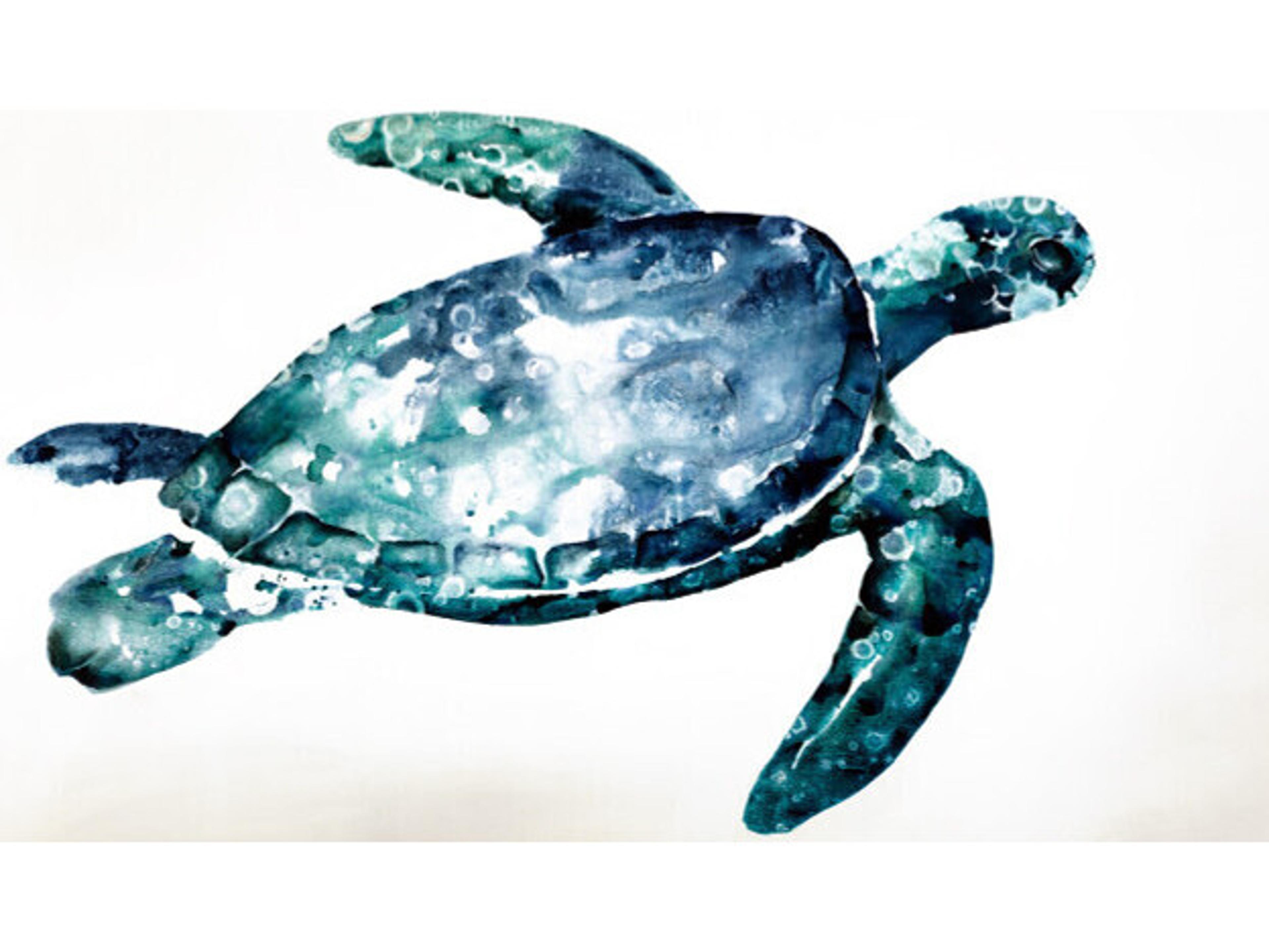 Daleno Aqua Swimmer Wall Art