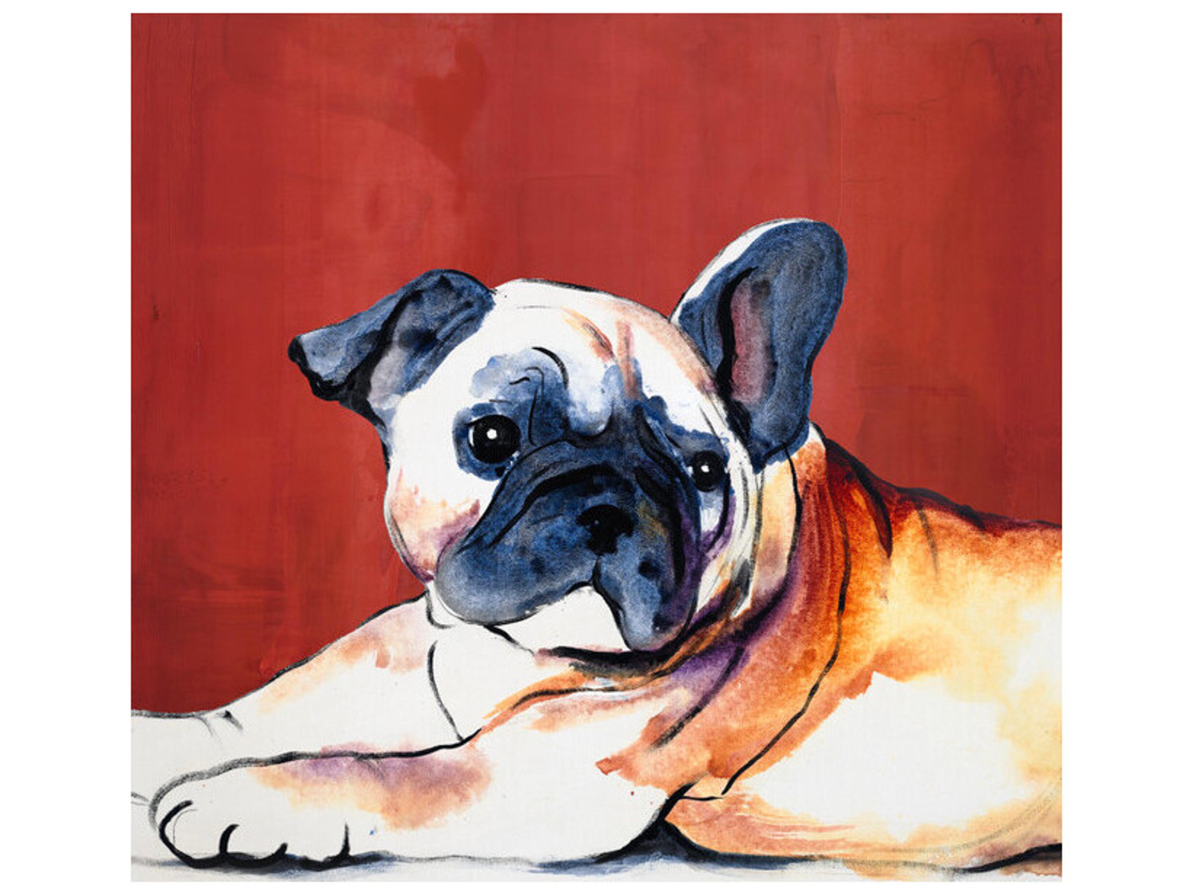 Daleno Kokos Curiosity Wall Art