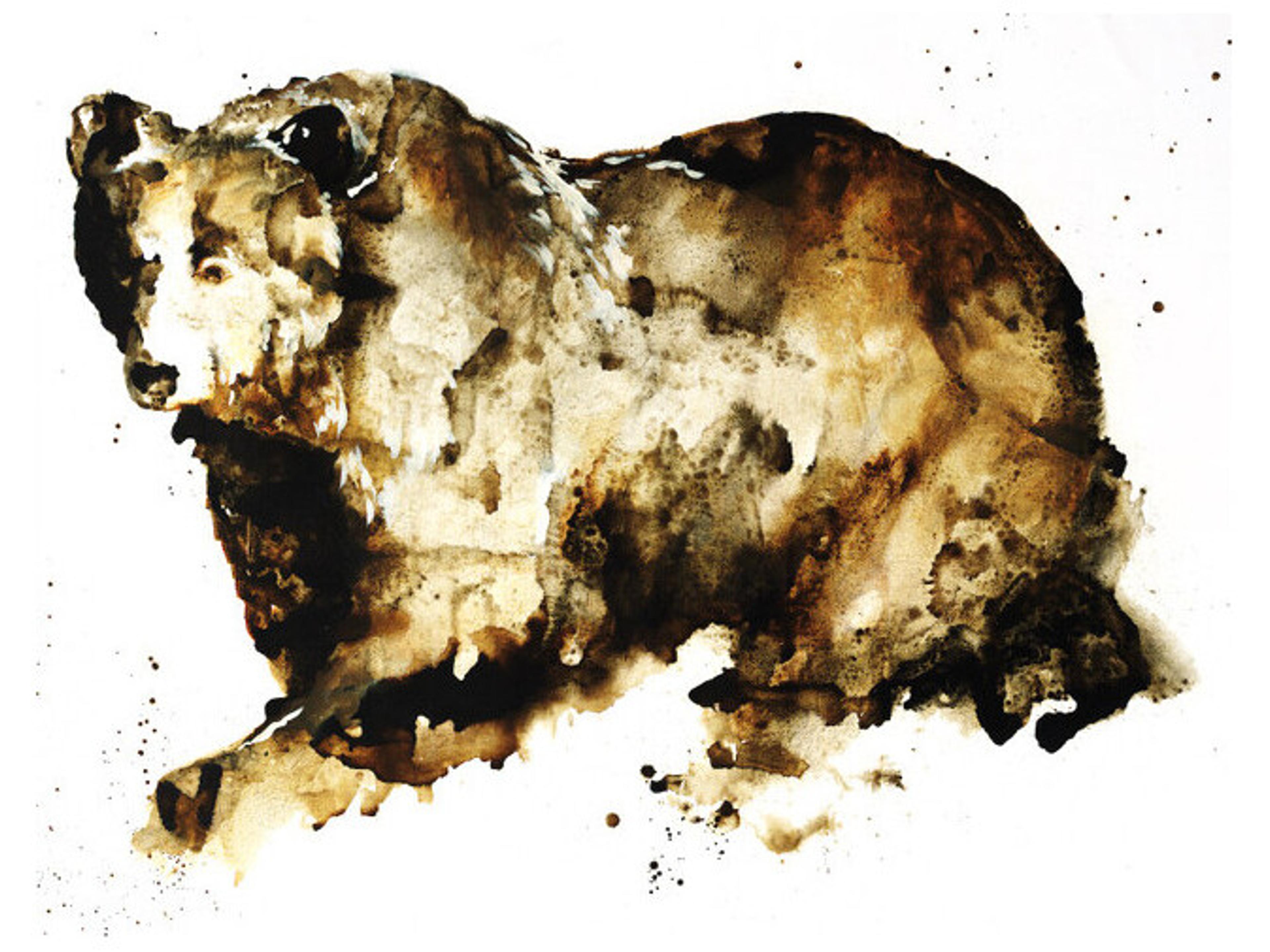 Daleno Touring the Terrain Wall Art