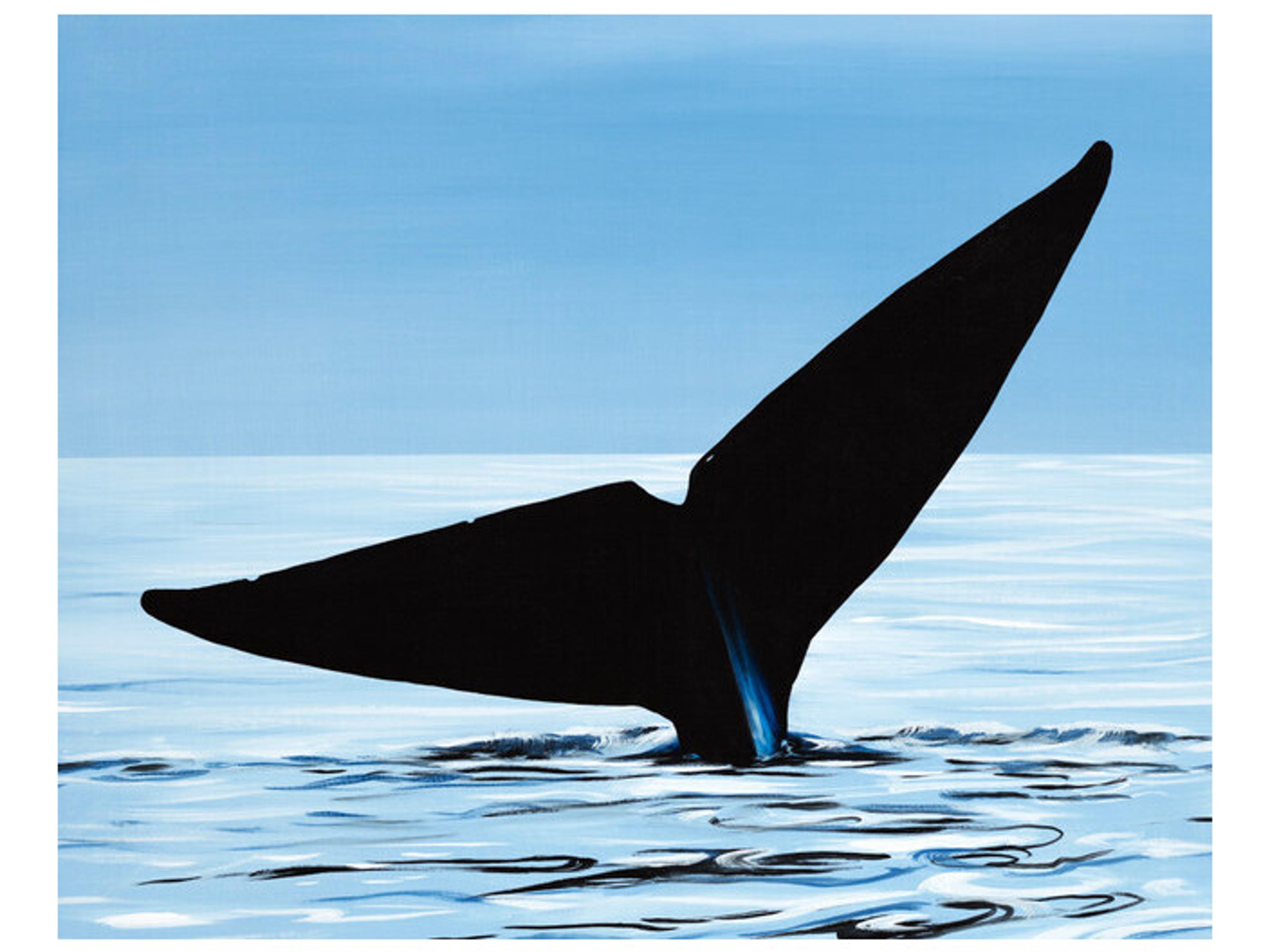 Daleno Fish Out of Water Wall Art