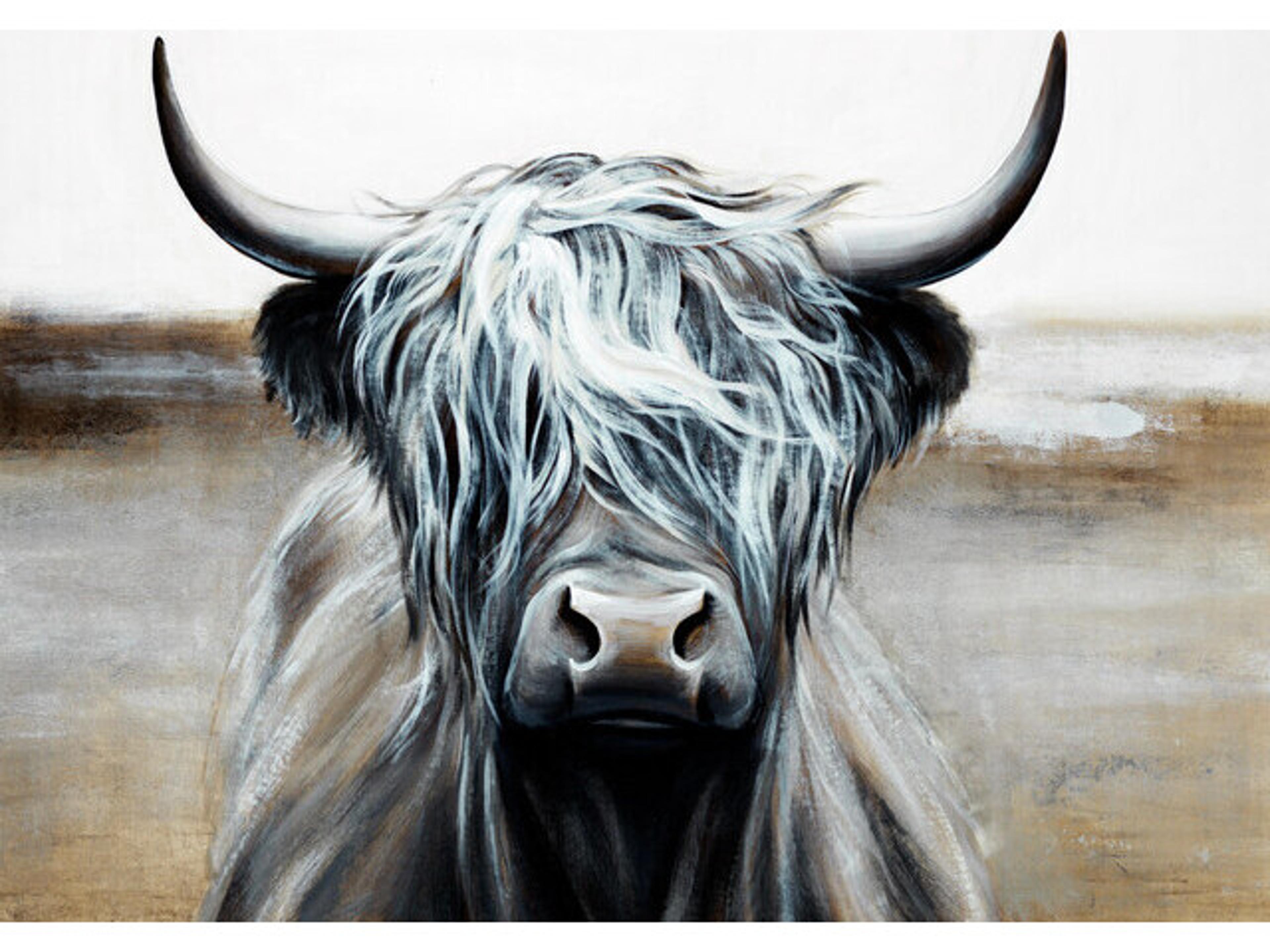 Highland Beauty Wall Art