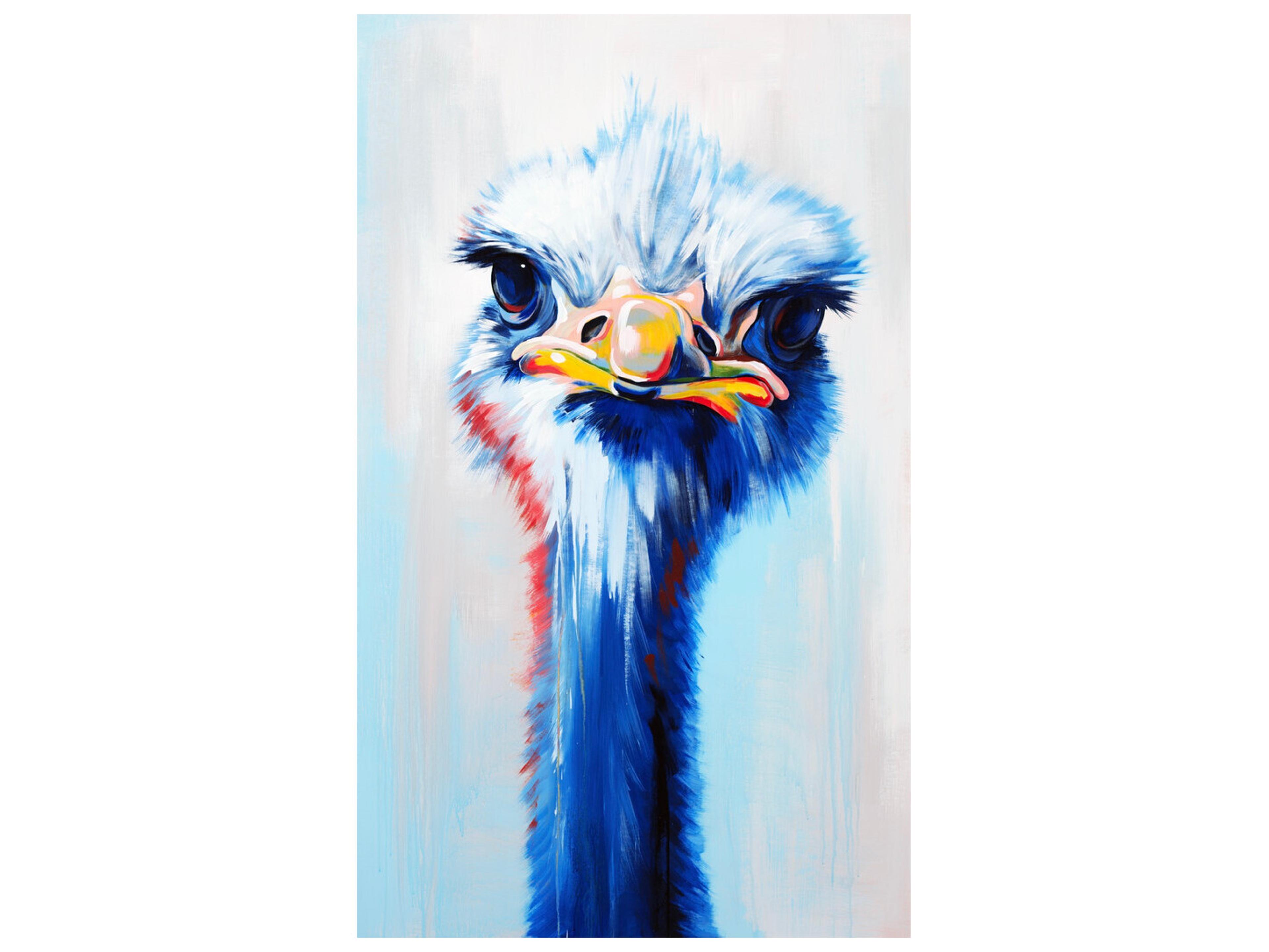 What Are You Looking At Wall Art