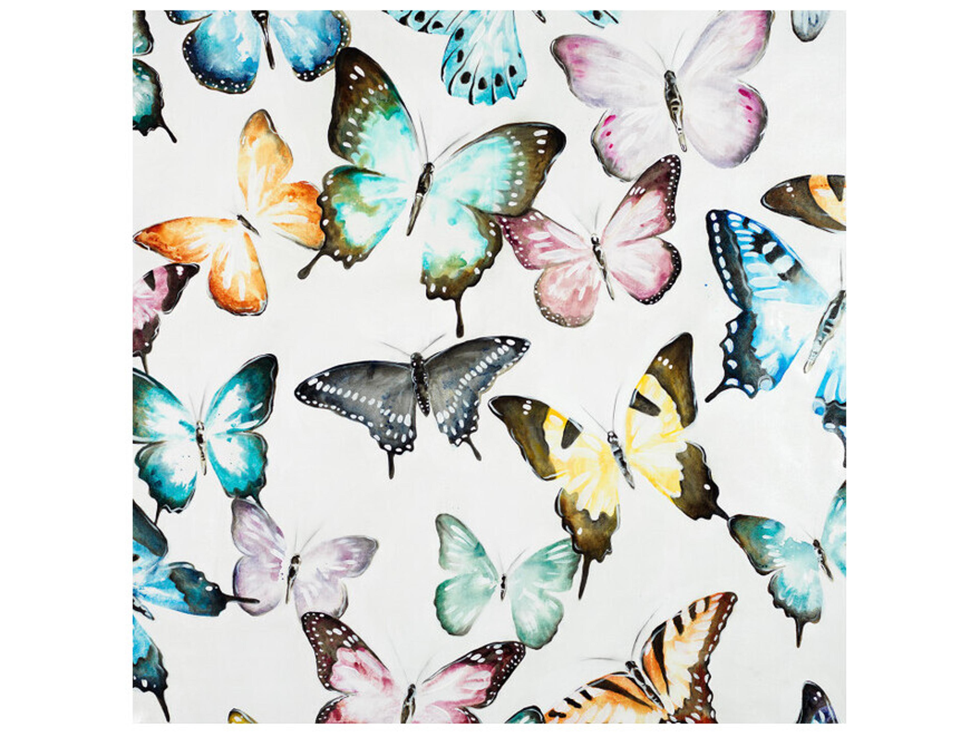 Spectacular Trek I Wall Art