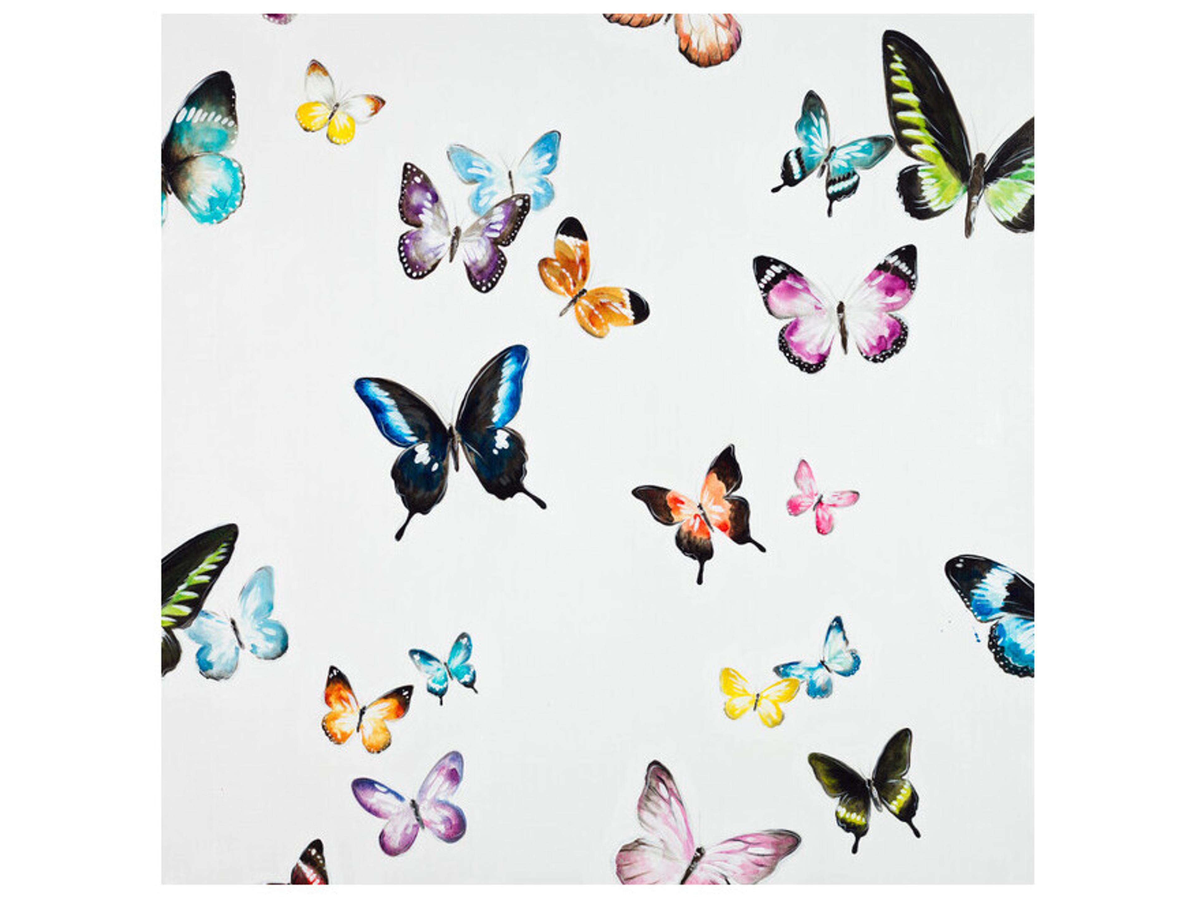 Daleno Spectacular Trek II Wall Art