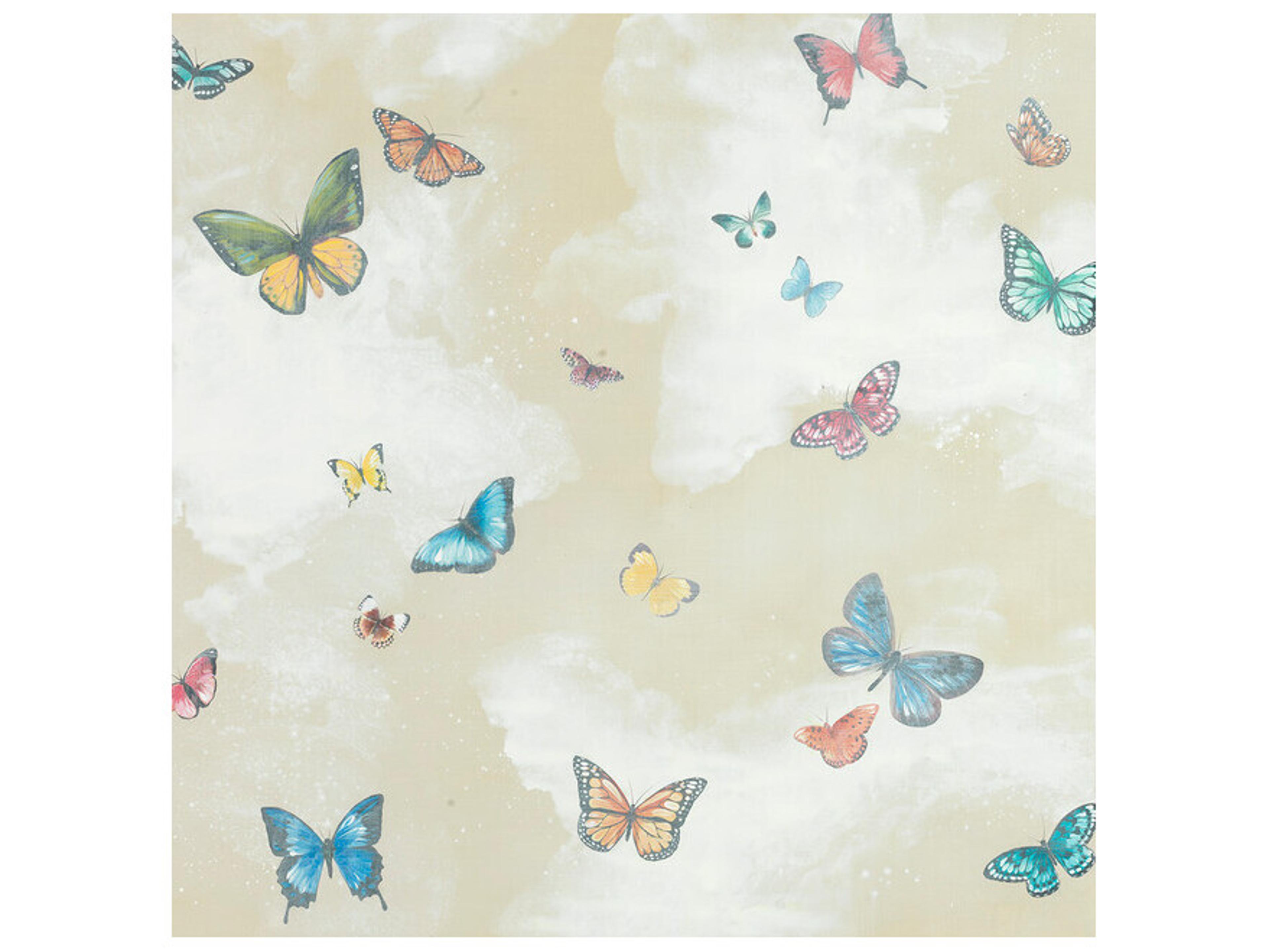 A Butterfly Blowout I Wall Art