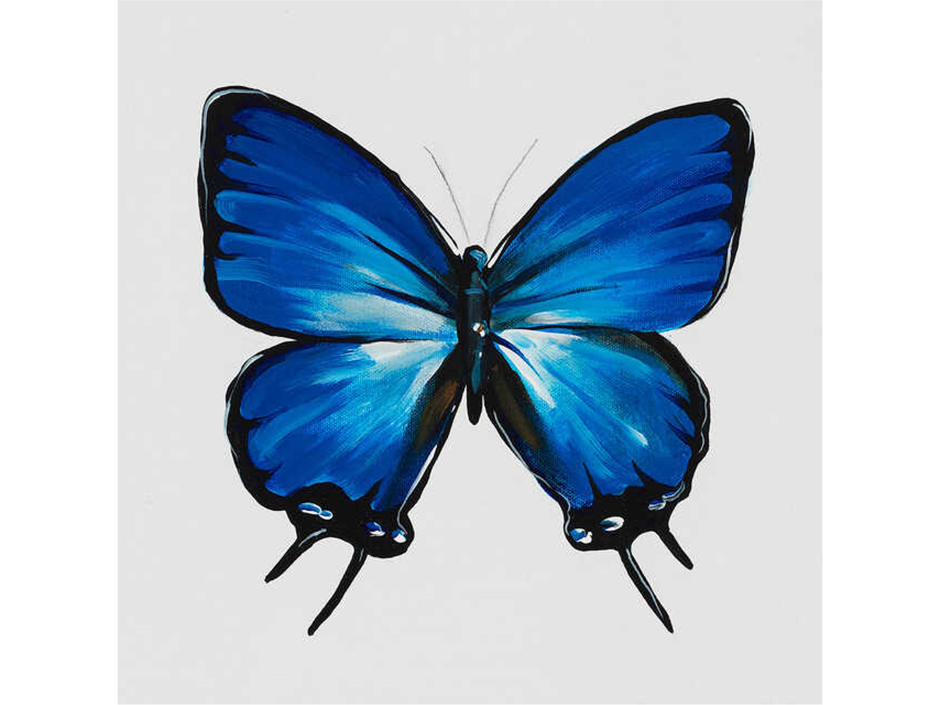 Animals of the Sky I Wall Art