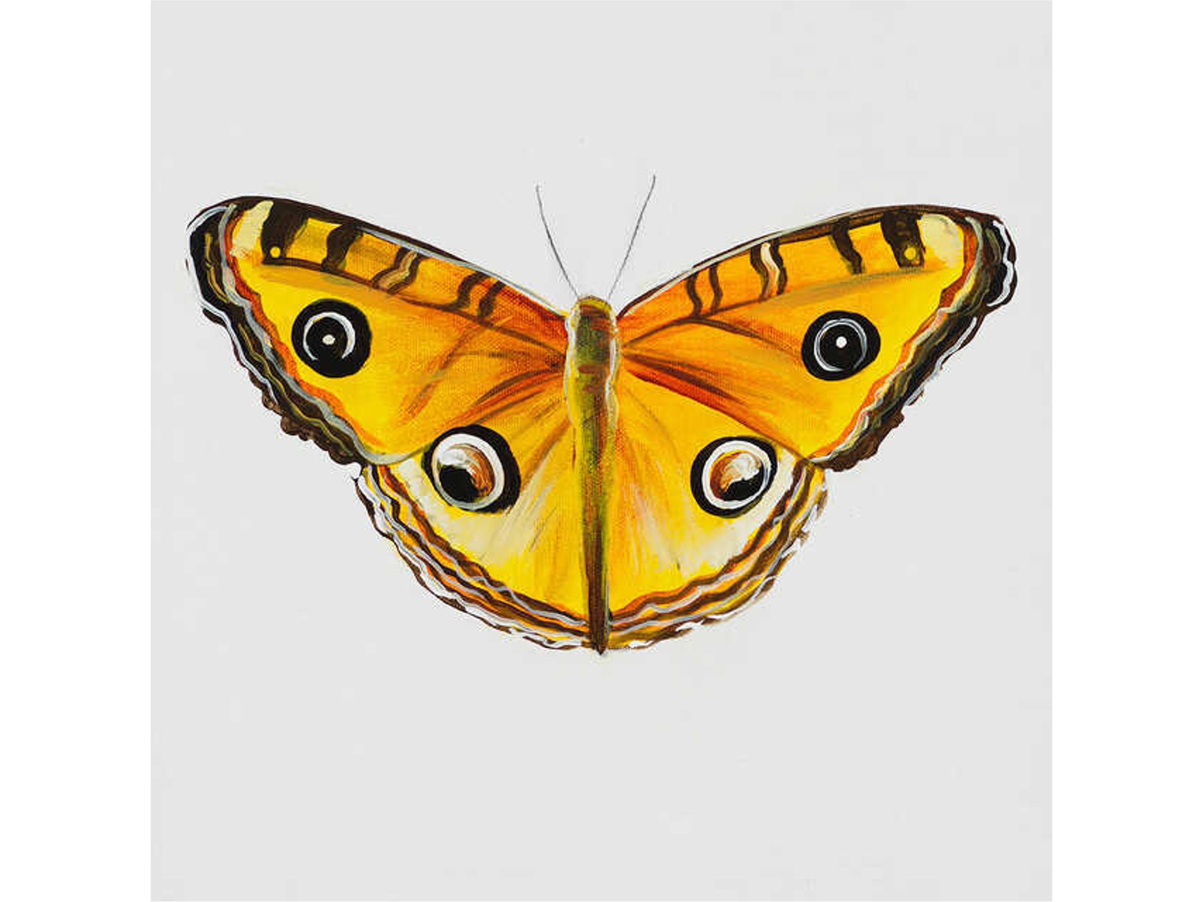 Daleno Animals of the Sky II Wall Art